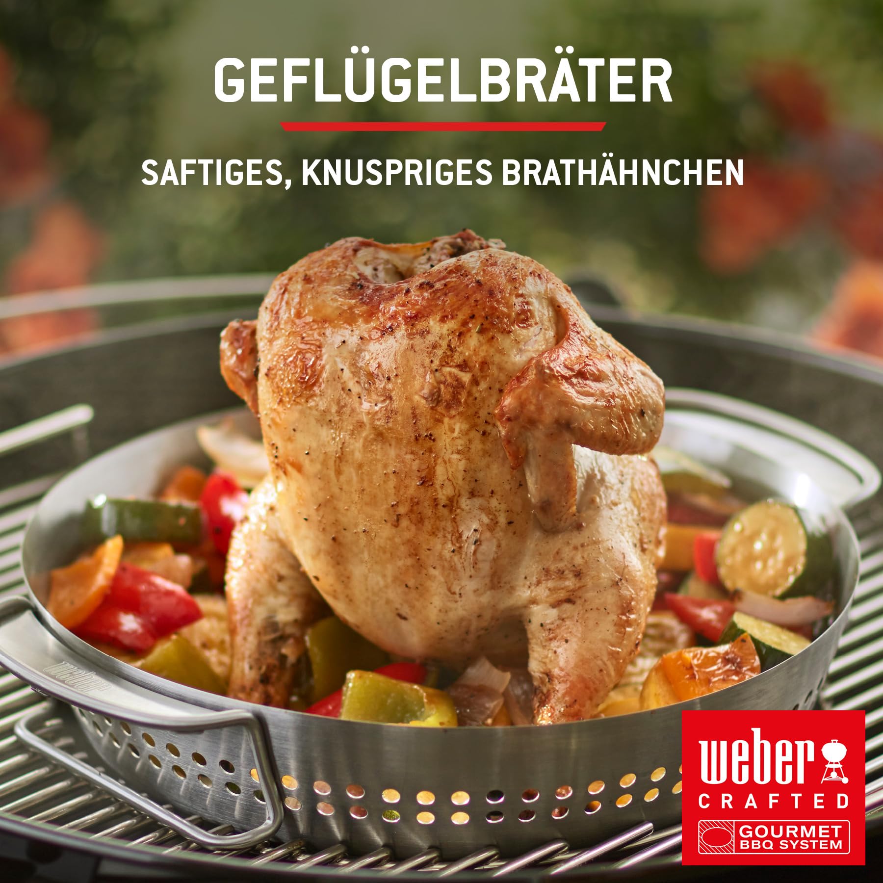 Weber Spirit E-310 Gasgrill