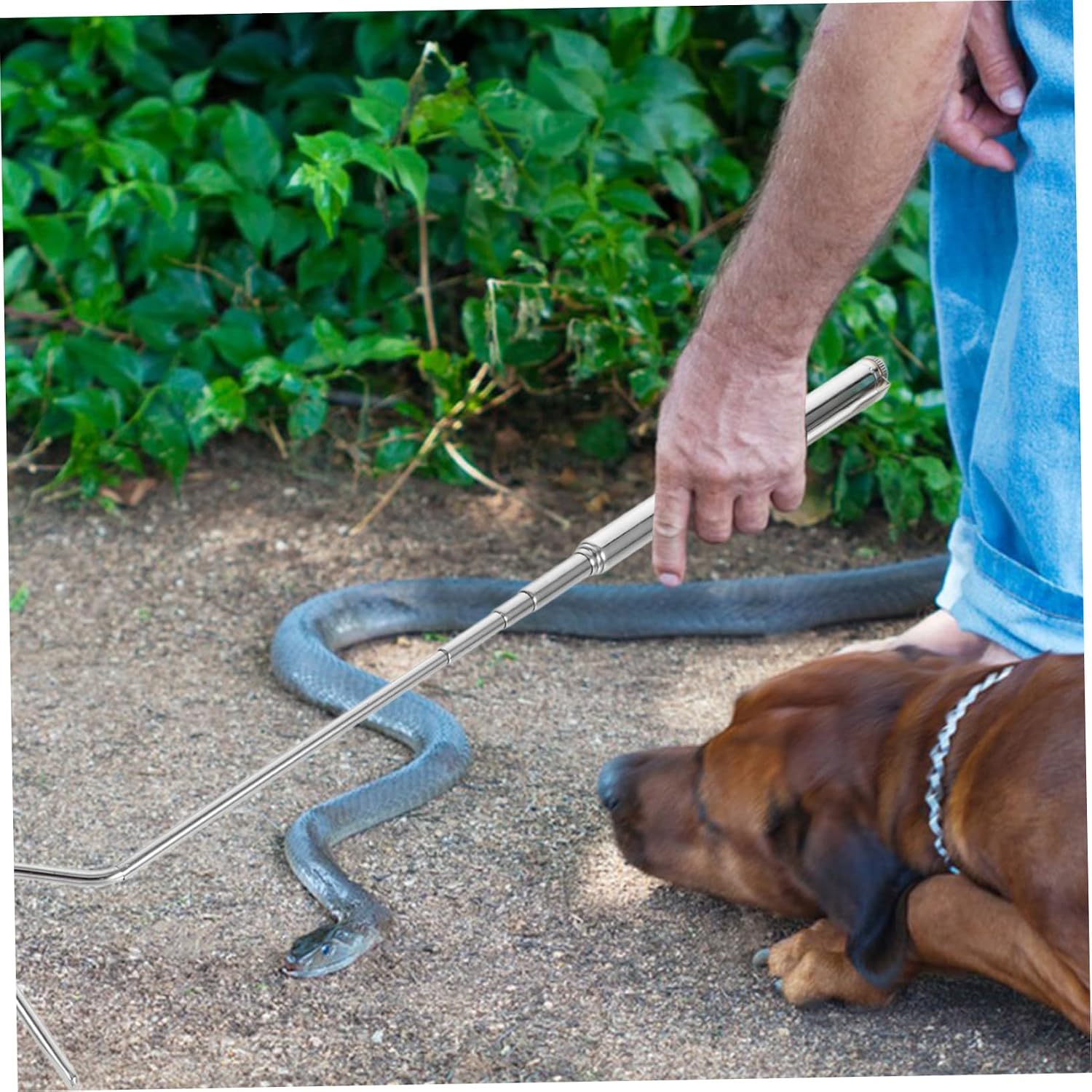 Retractable Snake Hook Tool for Snake Catching Portable Reptile Grabber Stainless Steel Construction Safe for Outdoor Activities