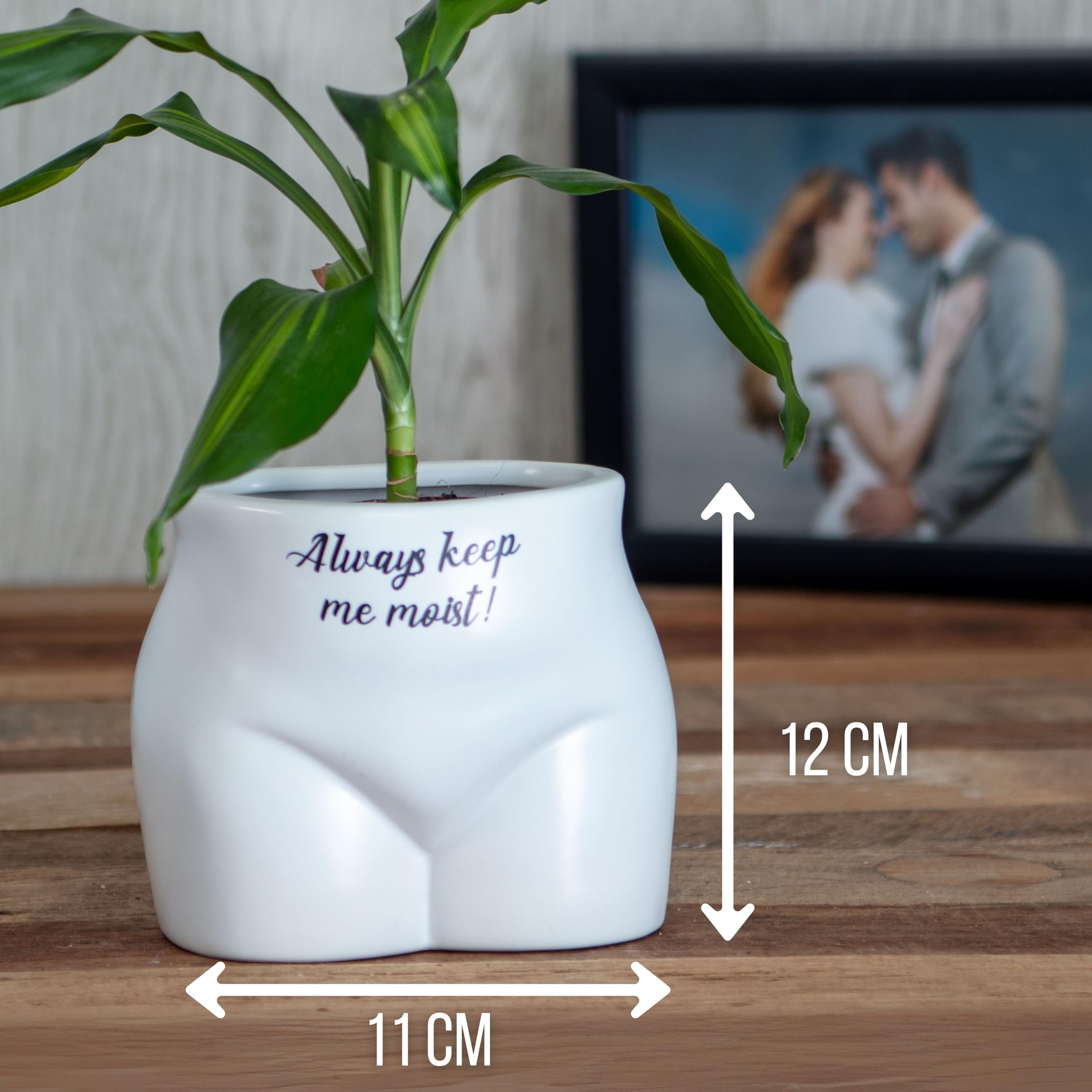 Boxer Gifts Wetter The Better Novelty Body Shaped Planter | Funny Rude Home Décor Gift, Ceramic, White,Black, One Size