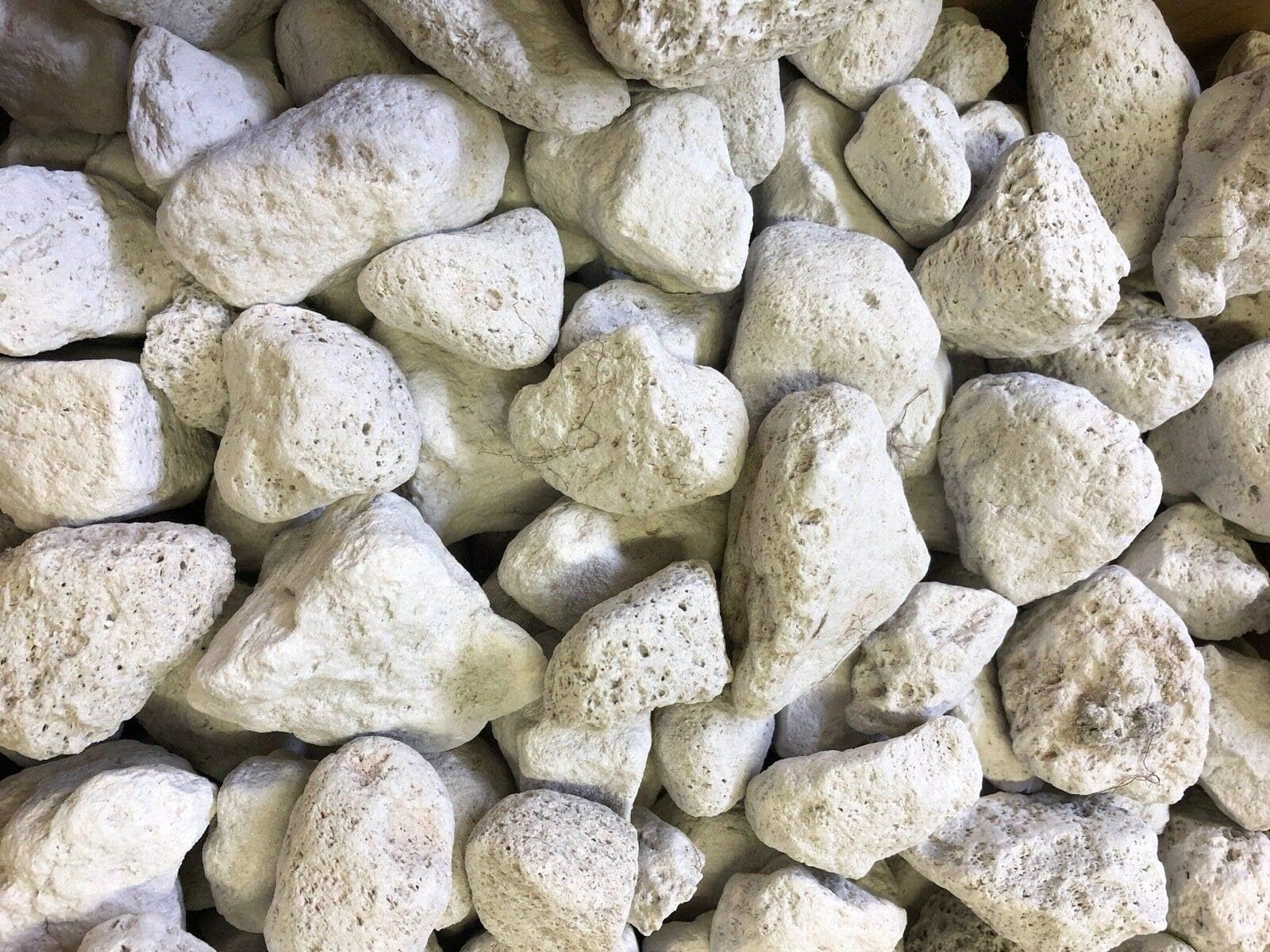 1 Gallon Natural Premium Quality Pumice Filter Media for