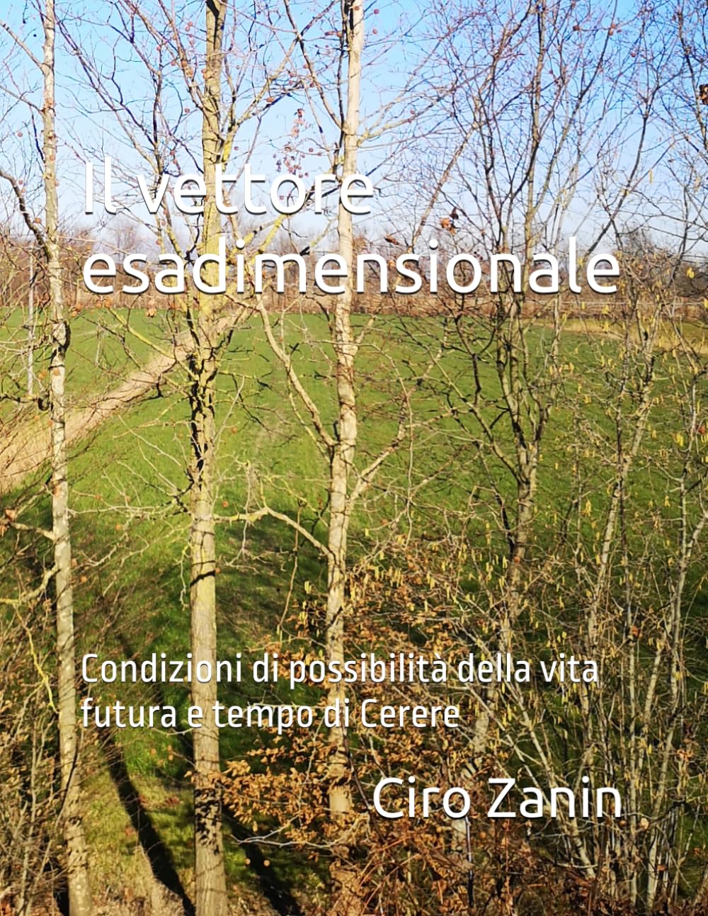 Il vettore esadimensionale: Condizioni di possibilità della vita futura e tempo di Cerere (Il Capitale Vivente)