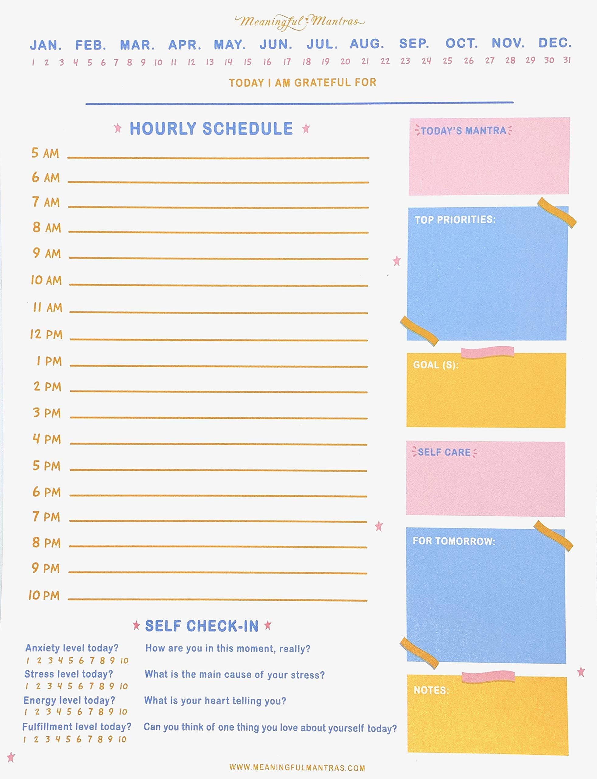 Daily Productivity Planner 2020, Hourly Planner, Notepad, 100 Sheets, Size 8.5 x 11, Schedule, Goal Planner, Gratitude, Self Care, Personalized Planner, Mental Health Daily Check-in Journal