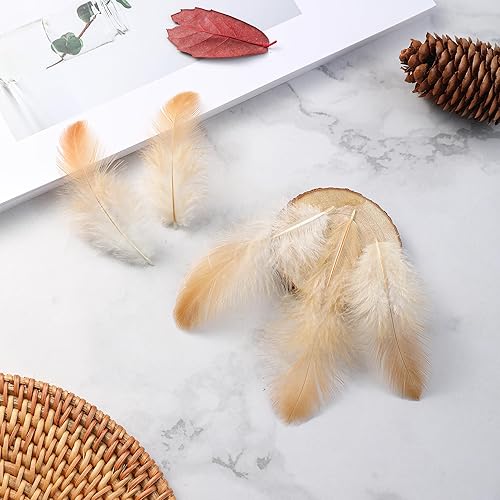 Miniatura 5 de Soarer Plumas naturales para manualidades a granel 300 plumas naturales de 3 a 5 pulgadas para suministros de atrapasueños, fiestas en casa,