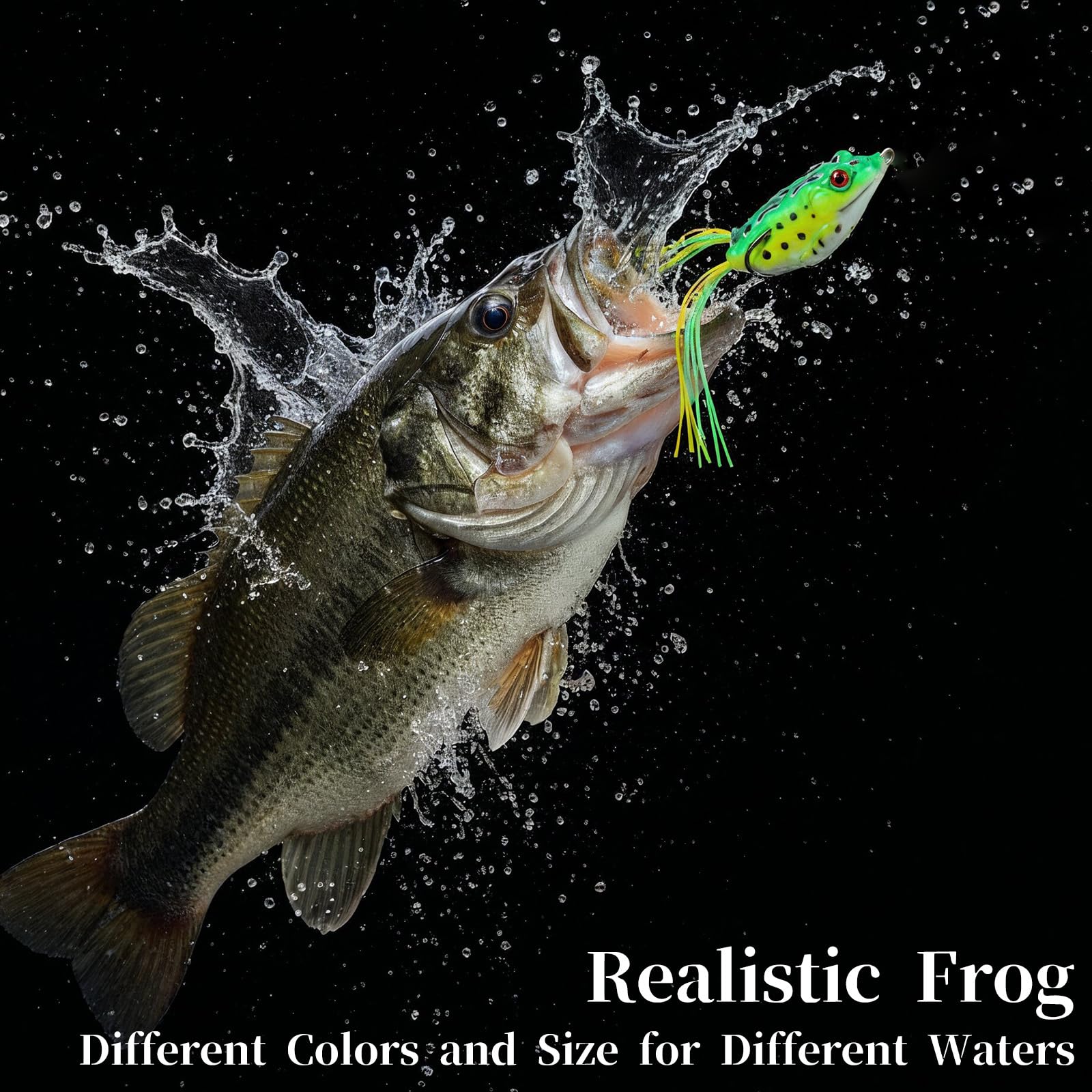 View 3