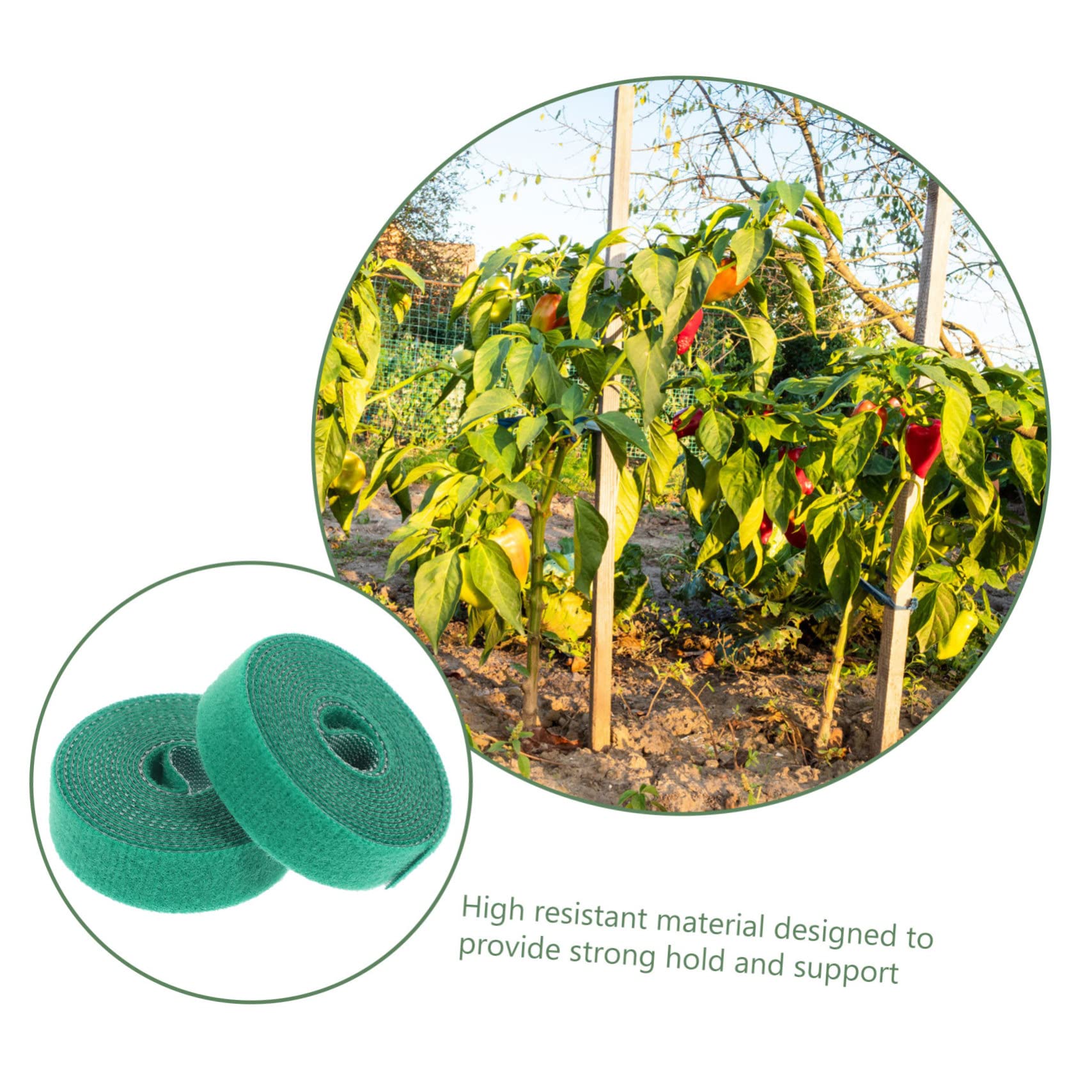 DOITOOL 4 Pz Nastro per Piante da Giardino Greengro Nastro di Rami di Fiori Tirante di Sostegno della Vite Cravatte di Fiori di Vite Vegetali Pianta di Gomma Nylon Elastico Piantina