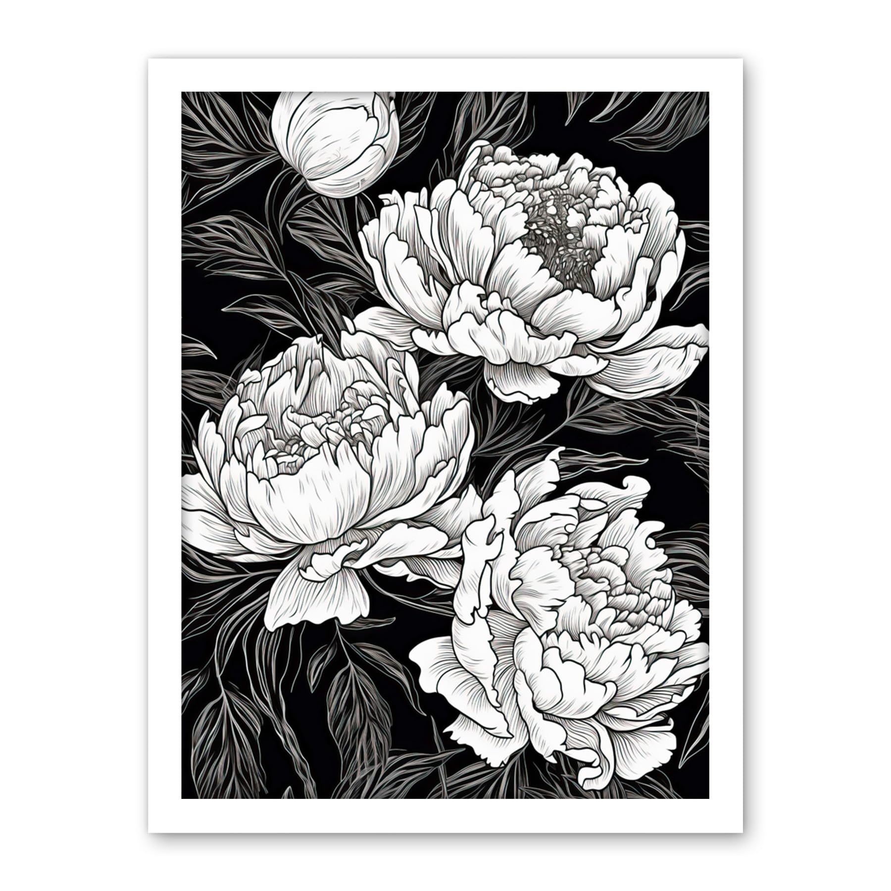 Artery8 Peony Flower Blooms White on Black Illustration Artwork Framed Wall Art Print 18X24 Inch