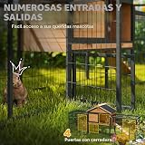 Ver la foto 5