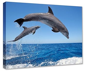 Ukus Togawa イルカ アート 23/100 Amazon.co.jp: Tucocoo かわいいイルカジャンプイルカ海洋生物
