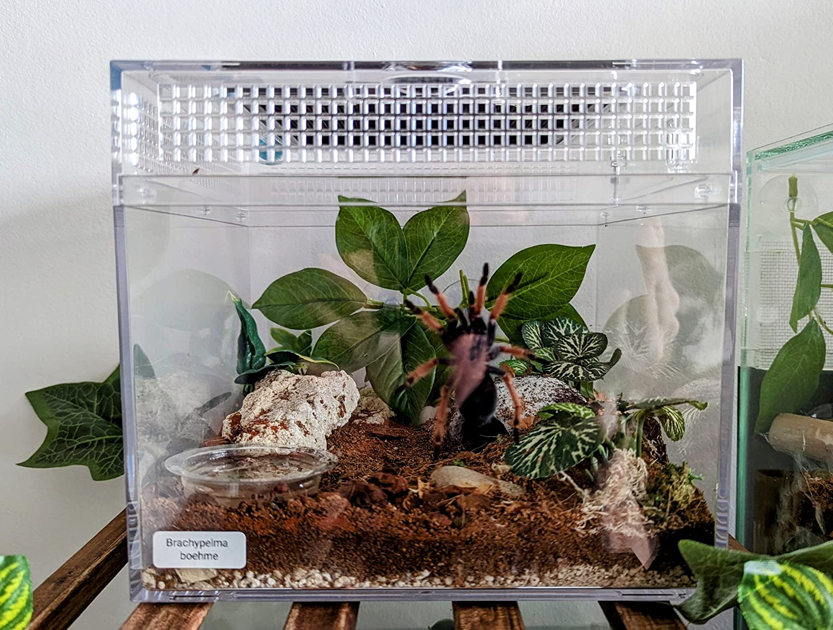 Customer photo