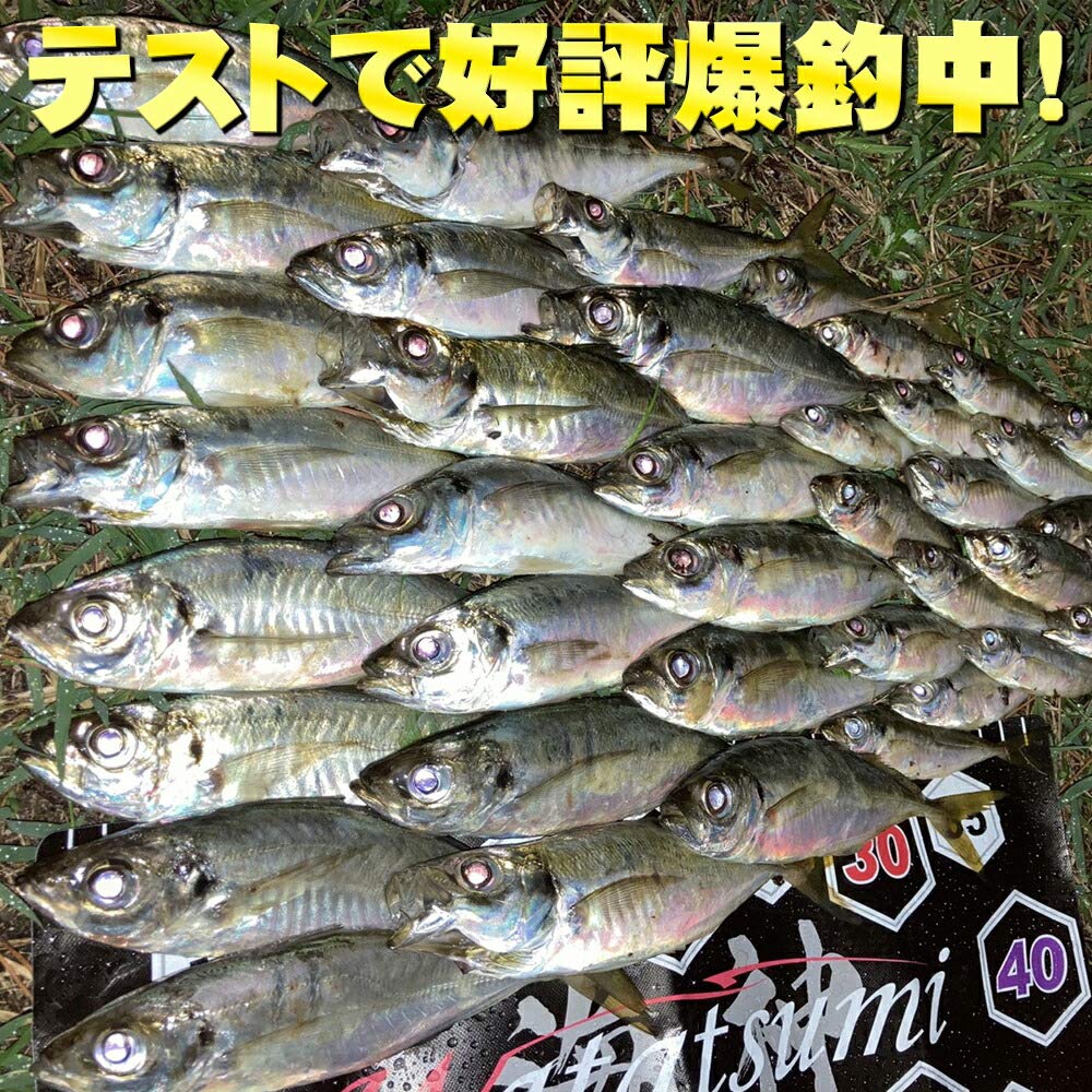Amazon | ゴクスペ(Gokuspe) UPPER LIMIT ZZ AJING 510UL | GOKUSPE | 船竿