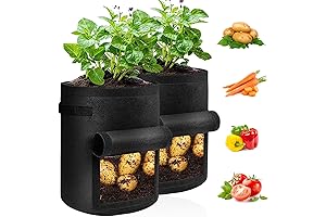 2-Pack Belit Grow Bags! The Ultimate Gardening Solution