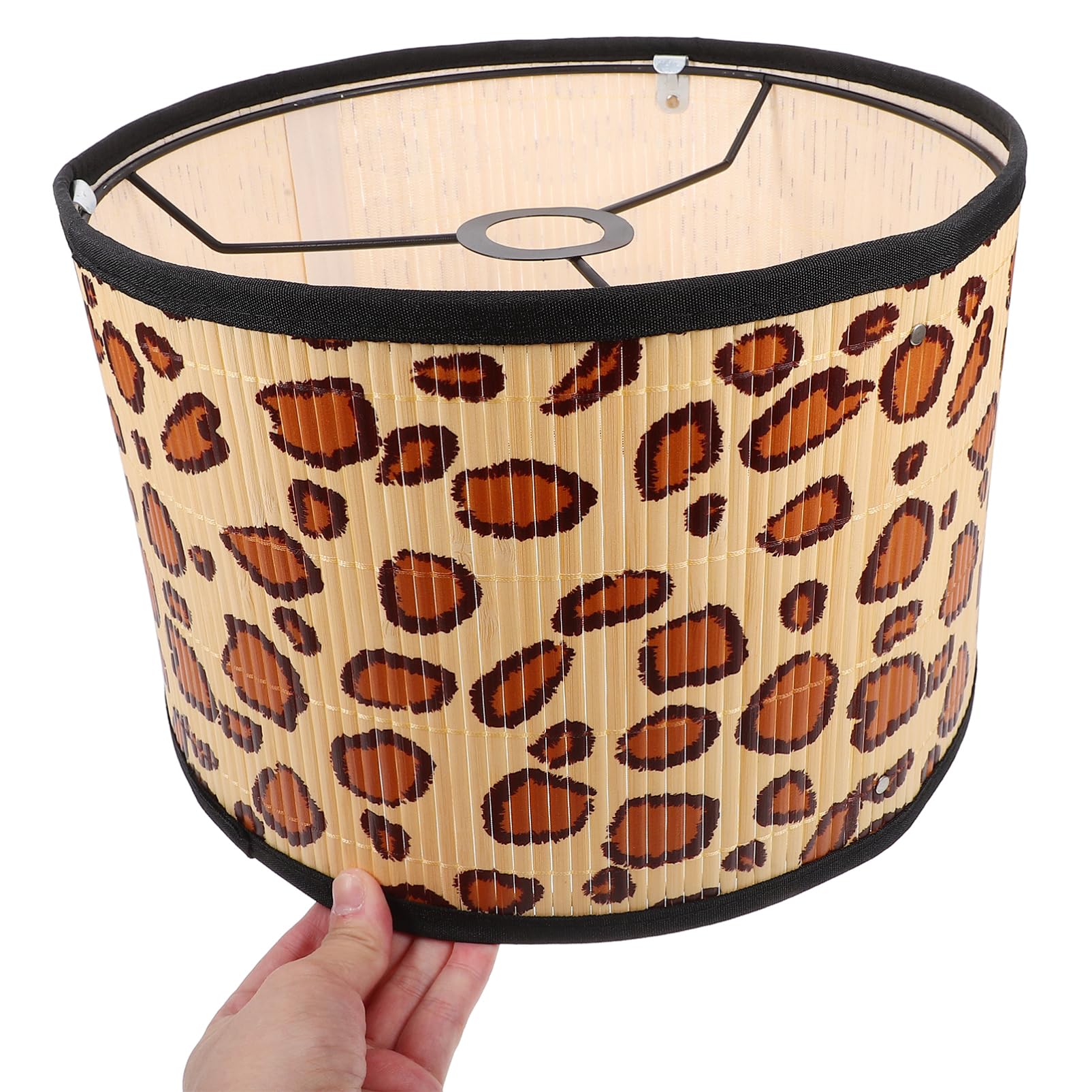 View 6