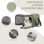 Petsfit Pet Carrier Airline Approved,Expandable Cat Carrier with Locking Zipper and Shoulder Strap, Storage Pockets for Houses Cats, Kittens Puppies or Small Dog up to 20 Pounds,Green L