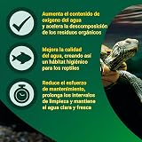 Ver la foto 4