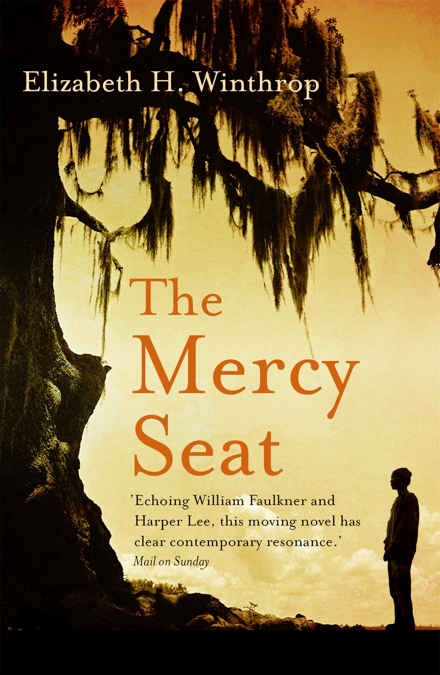 The Mercy Seat by Elizabeth H. Winthrop PAPERBACK 9781473672529