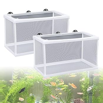 Amazon | FujiFrugal 魚 繁殖隔離ボックス 産卵ケース 2個入り