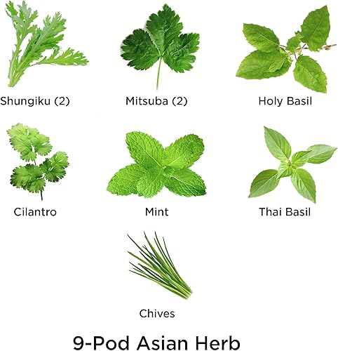 Miniatura 34 de AeroGarden - Kit de semillas.