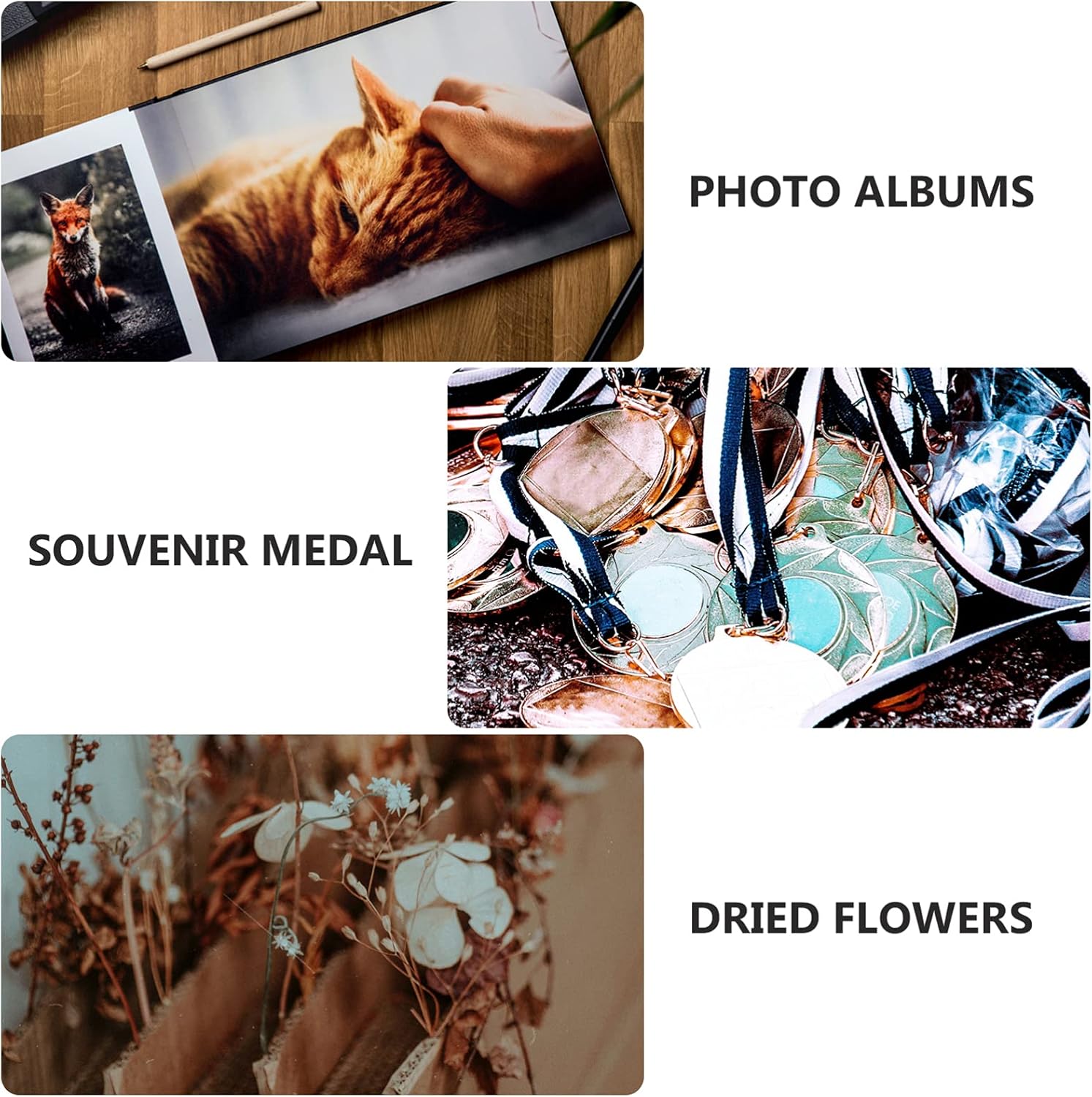 IMIKEYA Box Photo Frame Flowers Shadow Case Frame Memories Photo Picture Dry Shadow Display Case Plant Specimen Holder Medal Display Case Photo Ornament Frames Wooden Wall-Mounted A4 Shell