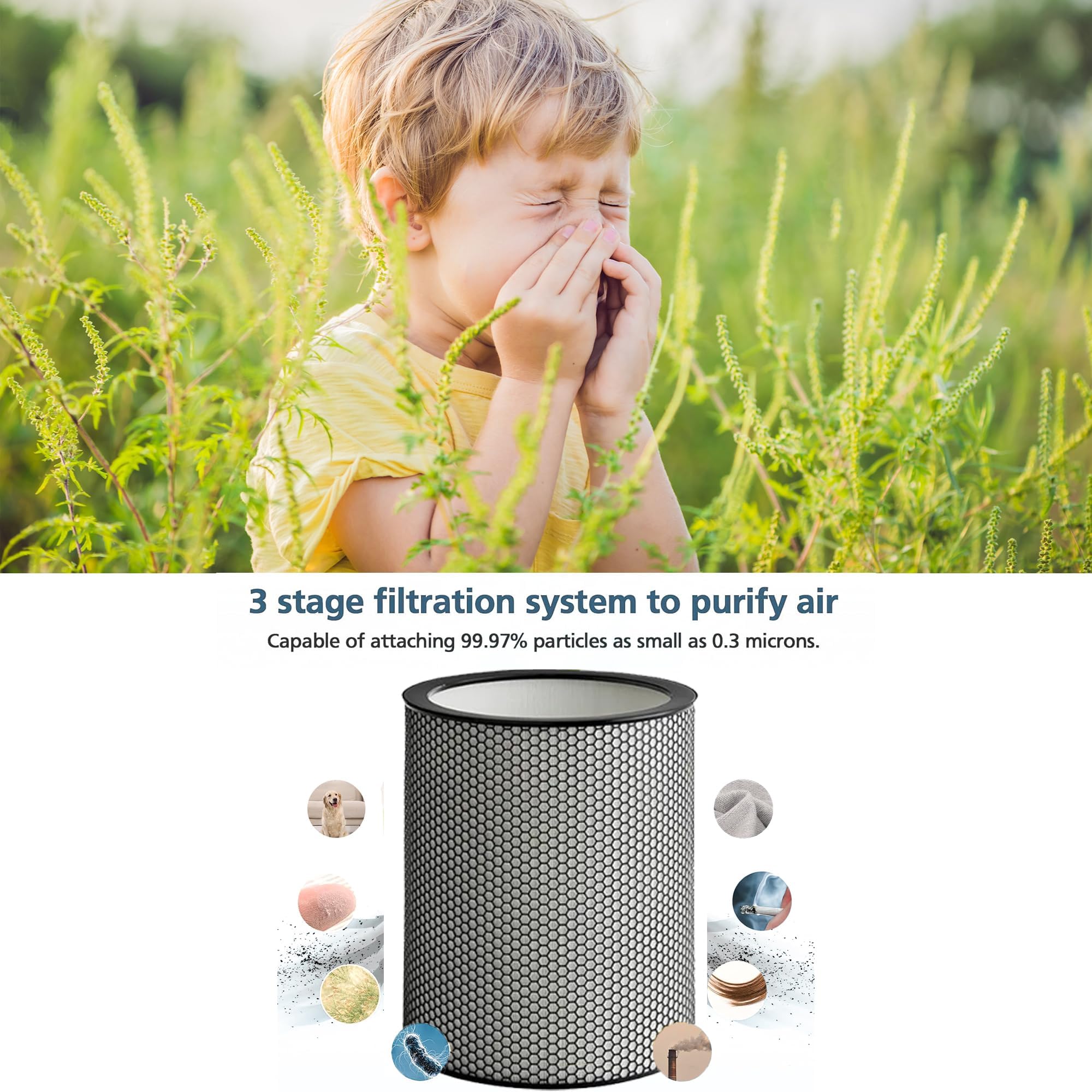 Amazon.com: 972132-01 H13 Grade Glass Big HEPA Filter Compatible
