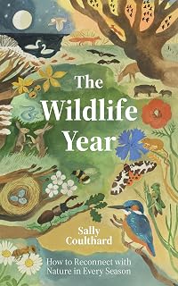 Wildlife Year: How to Reconnect with Nature Through the Seasons