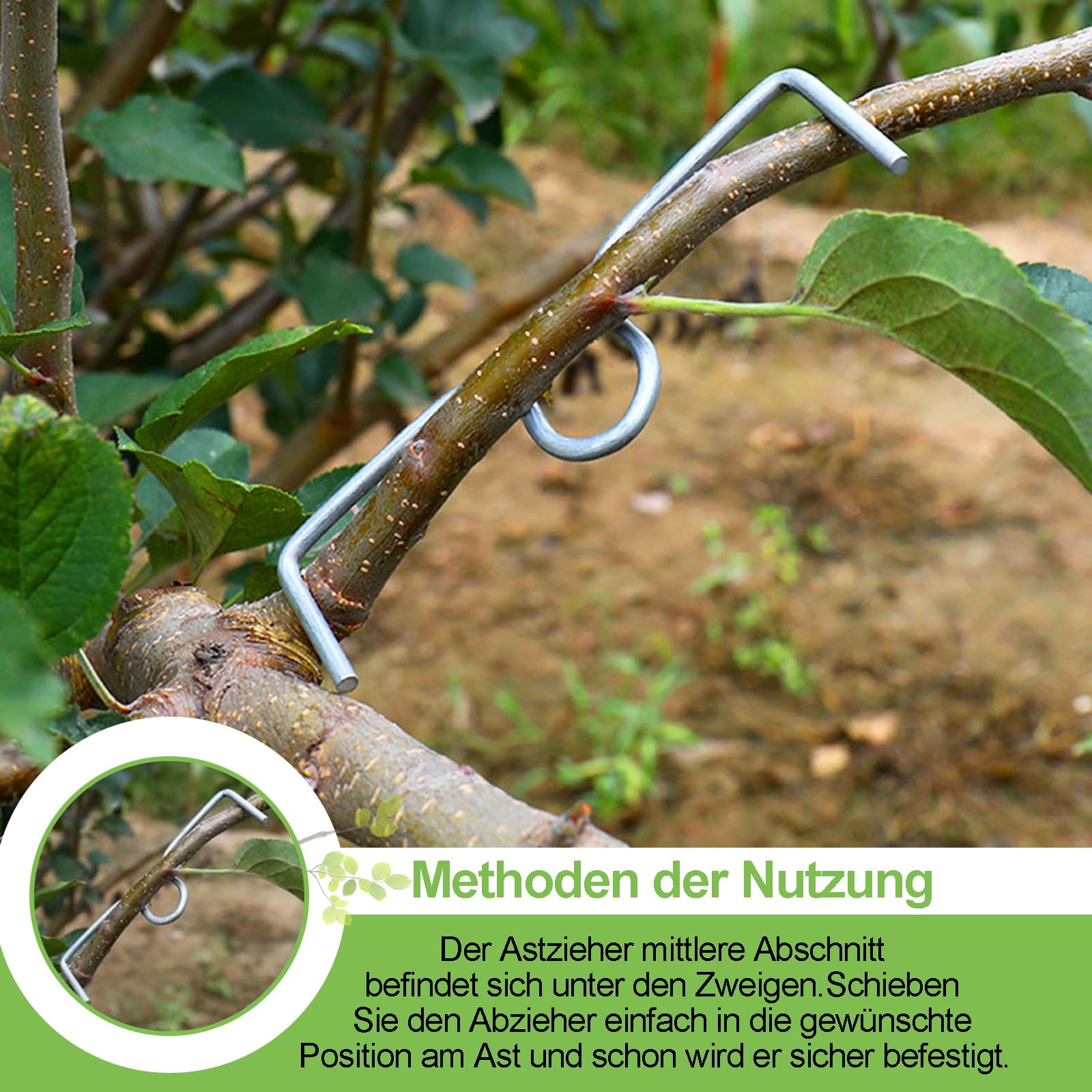 19 Stück 13cm Astzieher Metall, Astfixierer für Gartenbäume, Pflanzenstützen Astspreizer für Obstbäume, M Förmiger Astspreizer, Tragbare Landwirtschaftliche Werkzeuge, zum Spreizen von Obstbaumzweigen