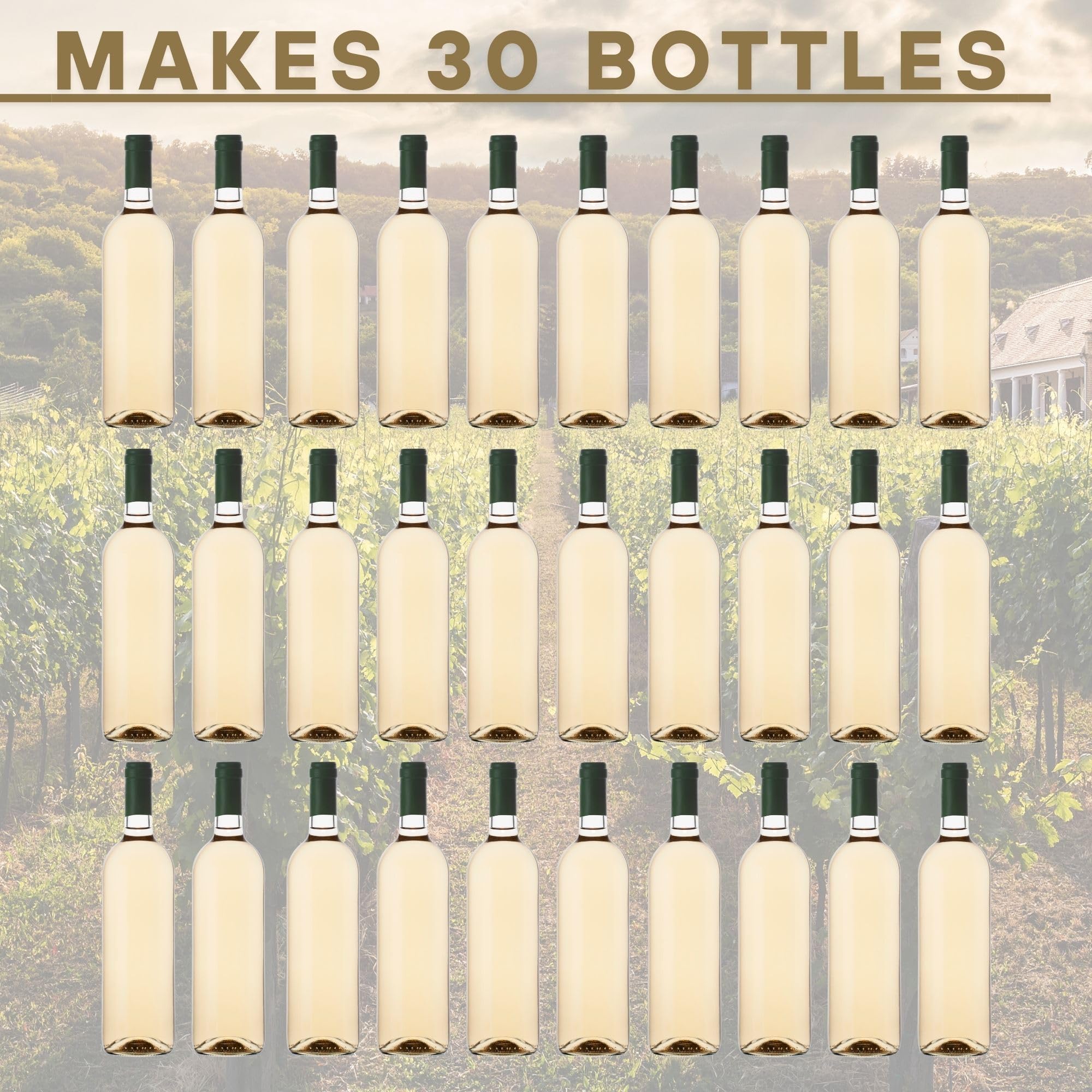 Master Vintner - Beginner Weekday Wine Making Kit - Pinot Grigio