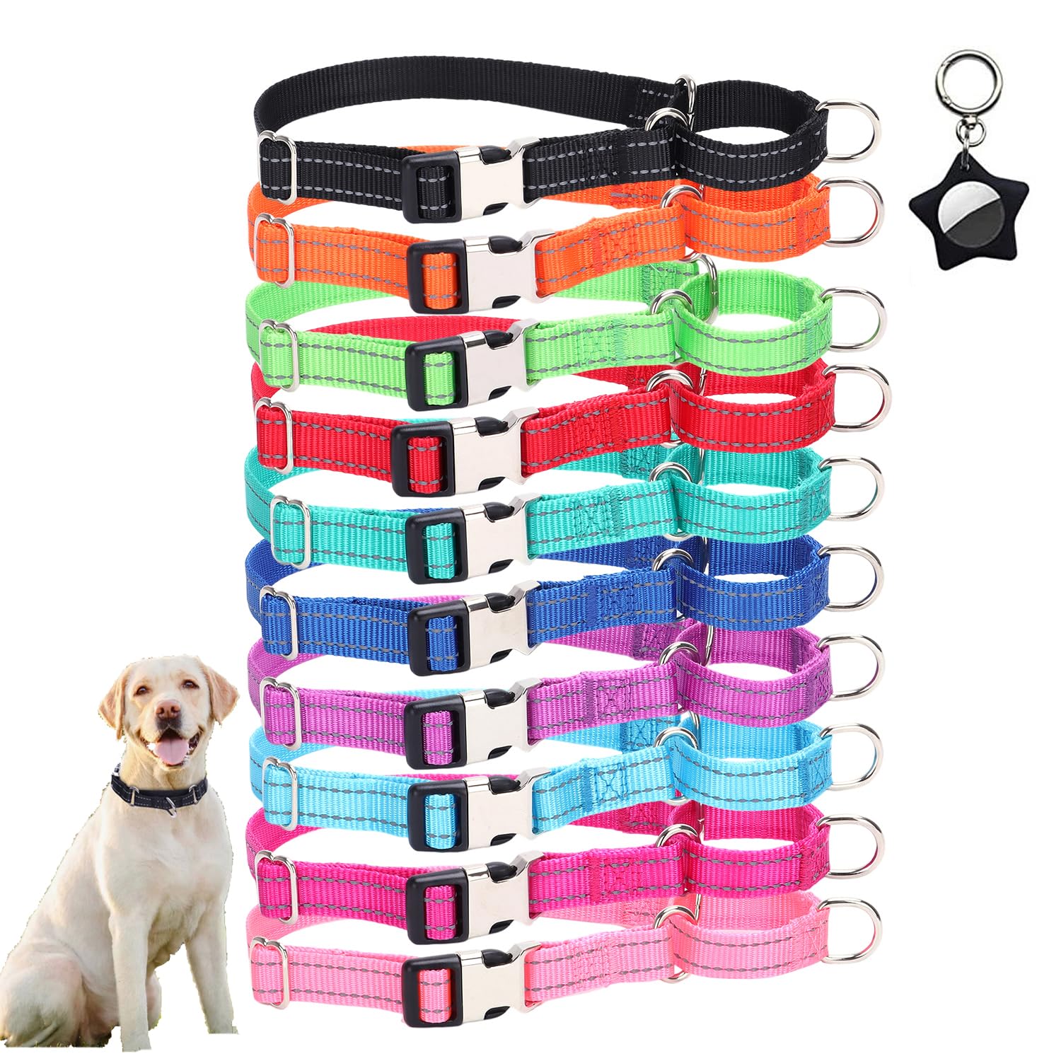 Weimostar Martingale Collar for Dogs Nylon Reflective Puppy Collar Adjustable Buckle Safety Training Walking Soft for Small Medium Large Girl Boy Pets Light Blue L