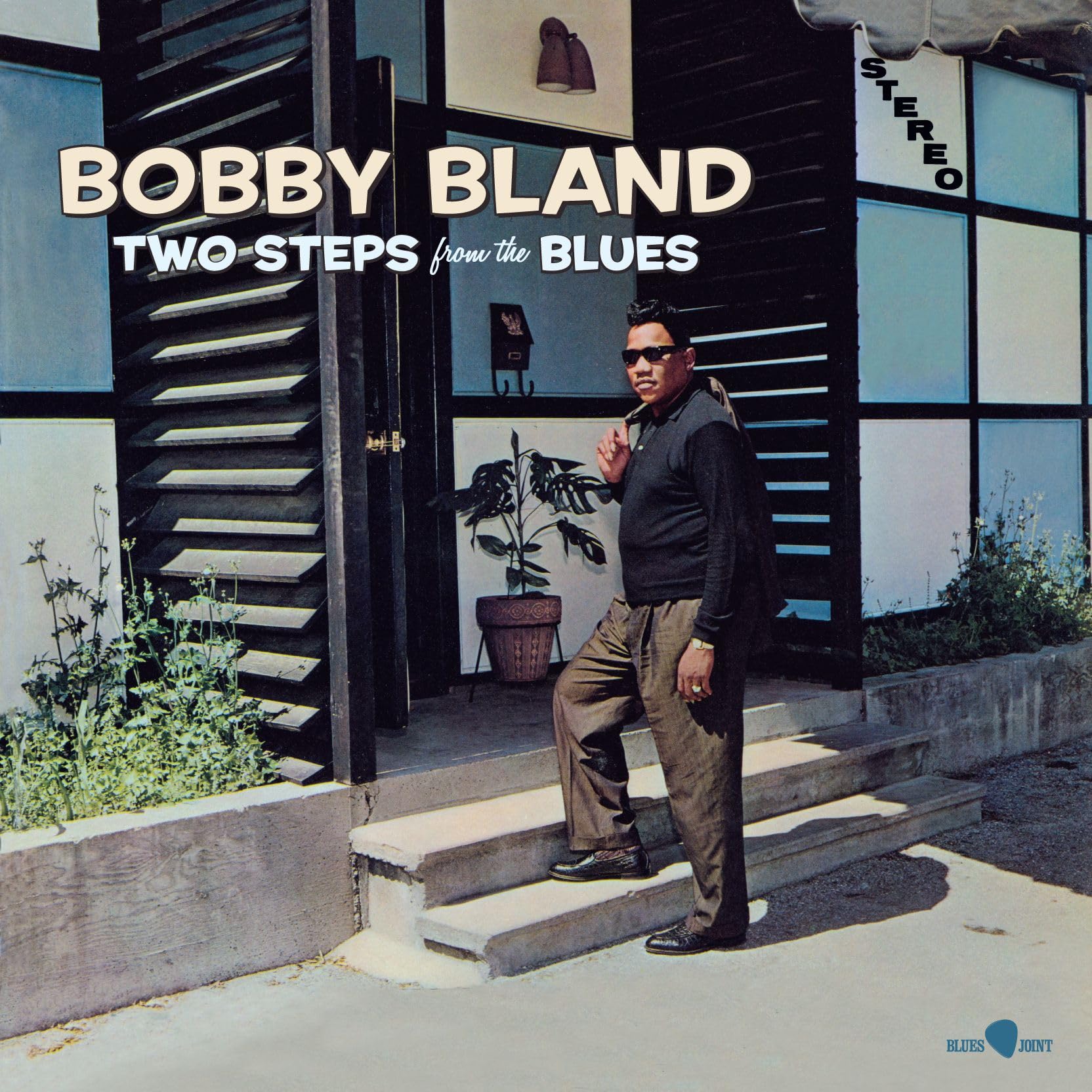 Two Steps From The Blues [VINYL]
