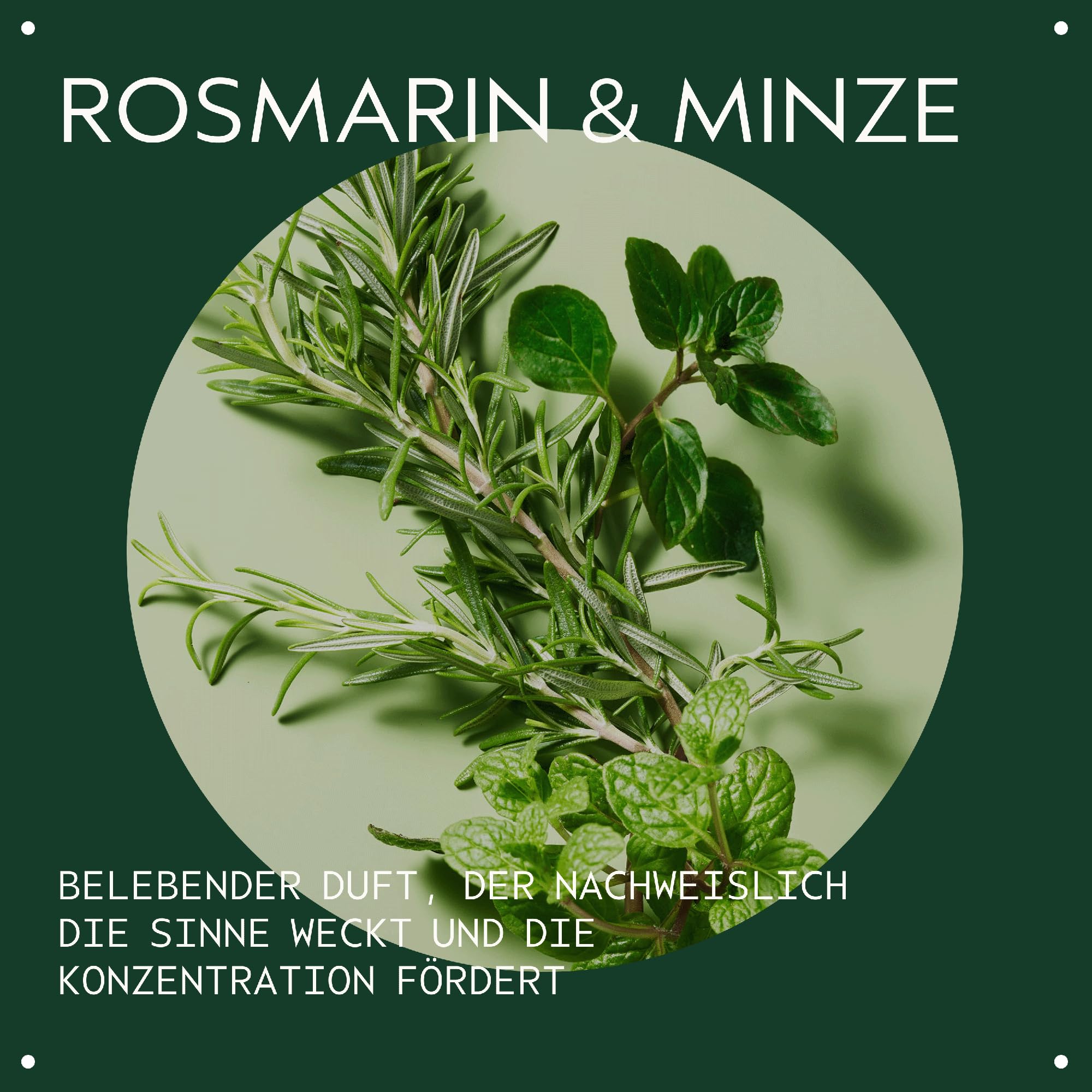 Aveda Rosemary Mint Purifying Shampoo, Tiefenreinigungsshampoo für normales bis fettiges Haar, verleiht Glanz und Frische, zu 97% natürlichen Ursprungs*