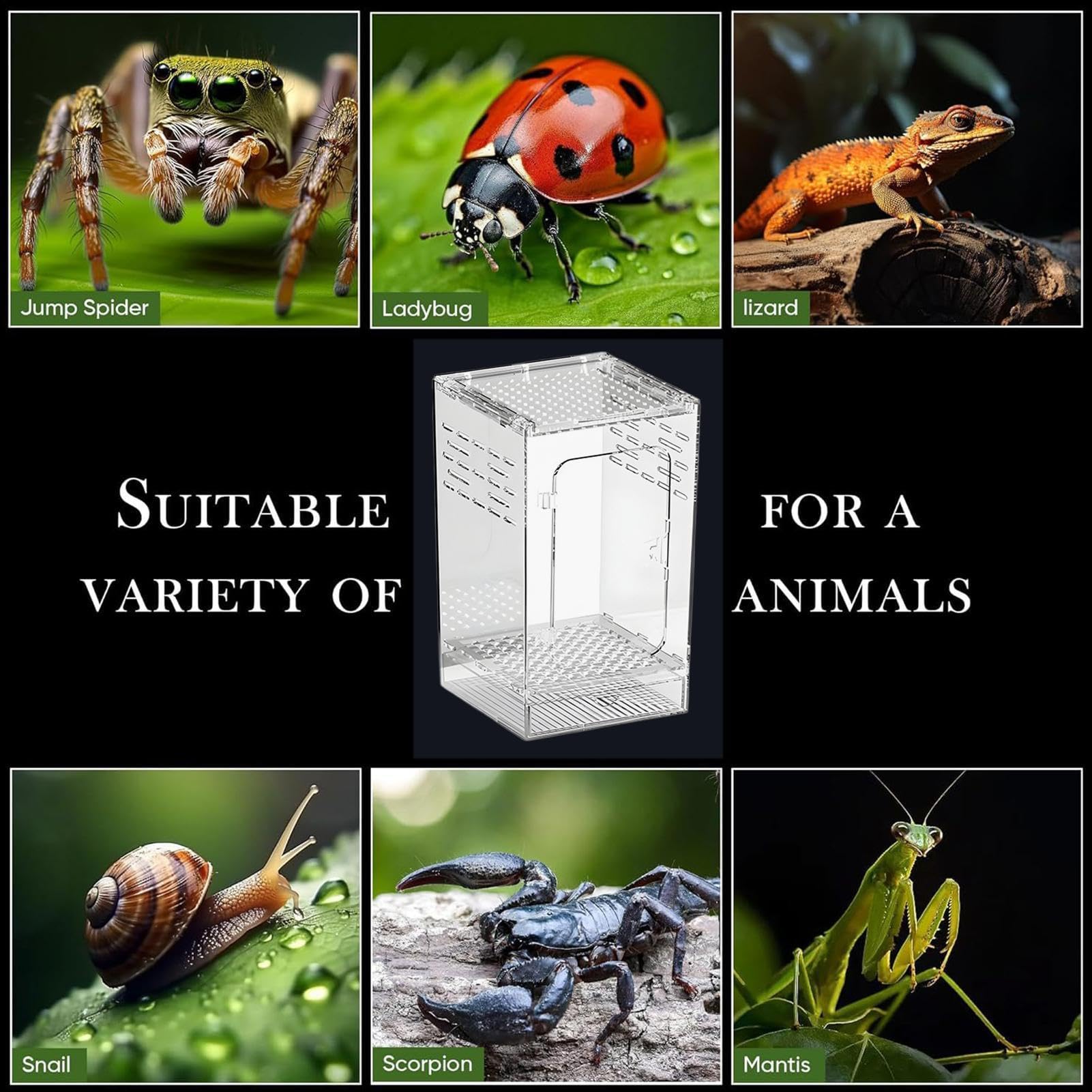 Terrarium dla pająków | Przezroczyste akrylowe terrarium o całkowitej przejrzystości, głośnik dla pająków żab, dla jaszczurek, ślimaków, żab, węży i krabów pustelników