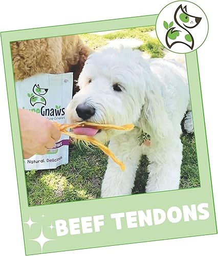 Miniatura 7 de Nature Gnaws Tendons for Dogs - Huesos dentales de carne de res natural de primera calidad - Golosinas masticables sabrosas para perros de larga