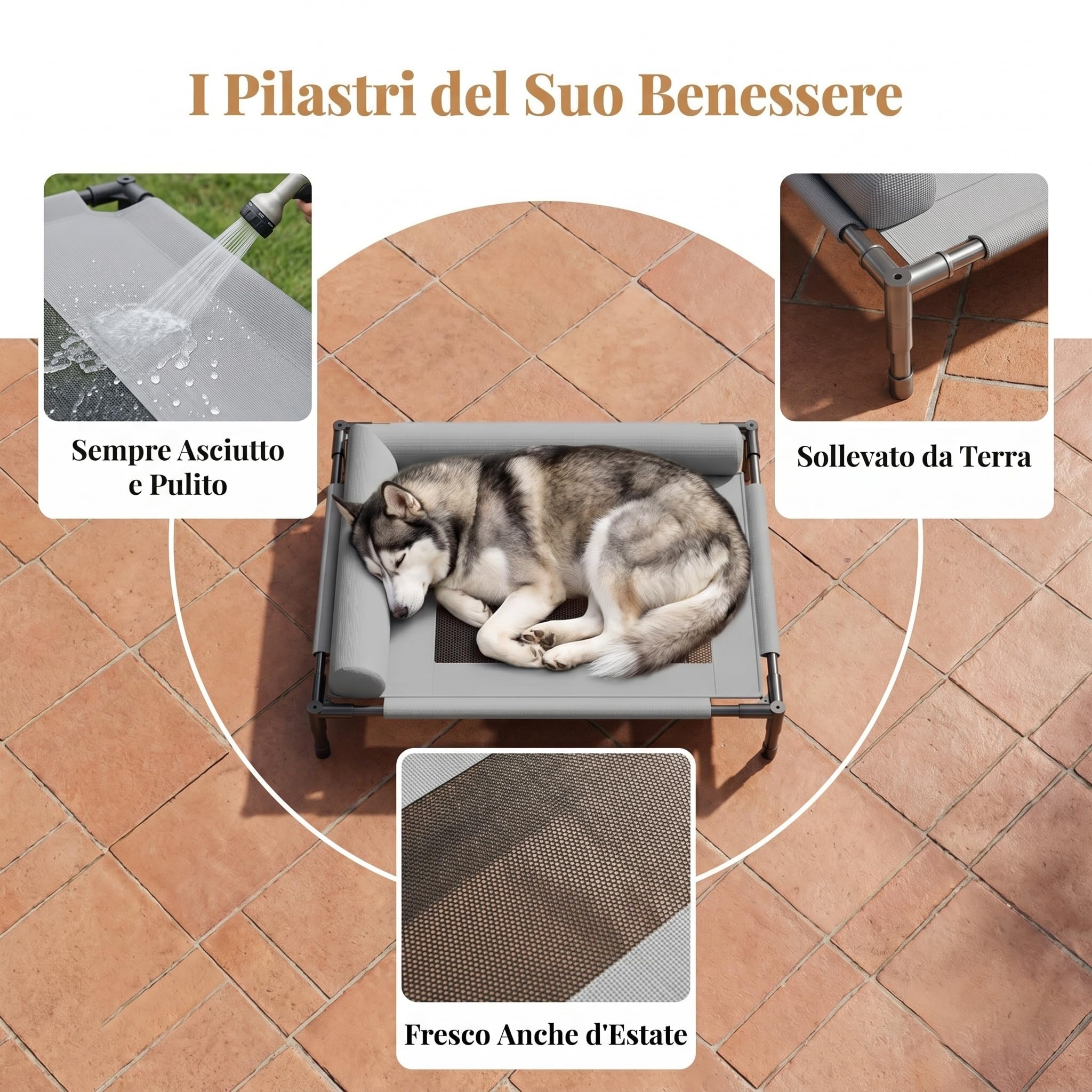 predolo Letto Rialzato per Cani Rimovibile e Lavabile, Lettino Rialzato per Cani, Resistente All'umidità Cuccia in Rete Traspirante, Divano per cani Estate, Esterni, Interni, Cuscino A L