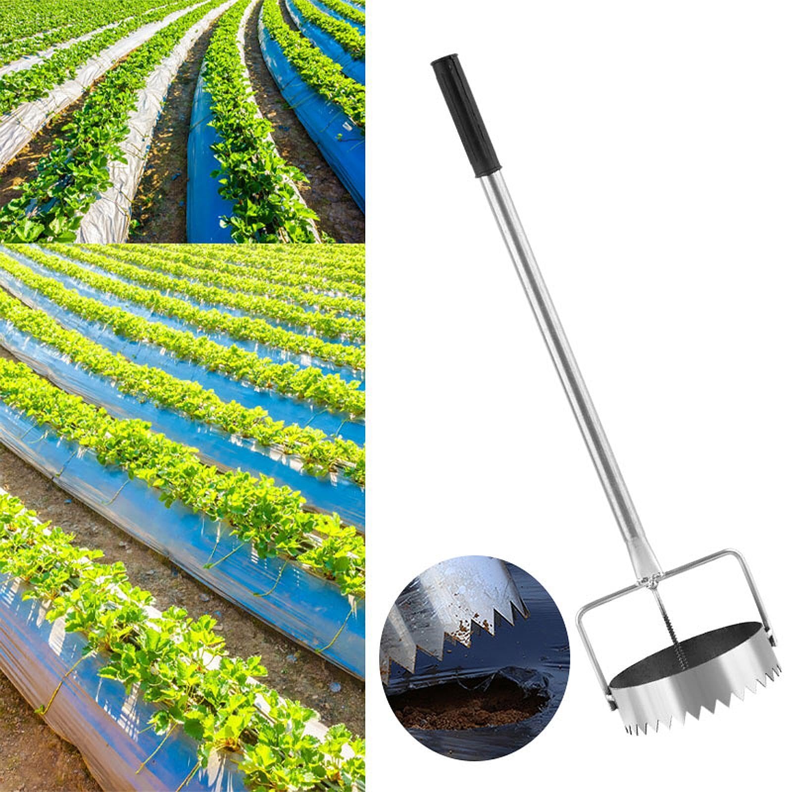 Lampade - Pianta - Tappo Attrezzi Multifunzionali per Piantare in Acciaio Inossidabile Scava Buche per Giardino Fattoria Serra Prato, 13.5 Cm di Diametro