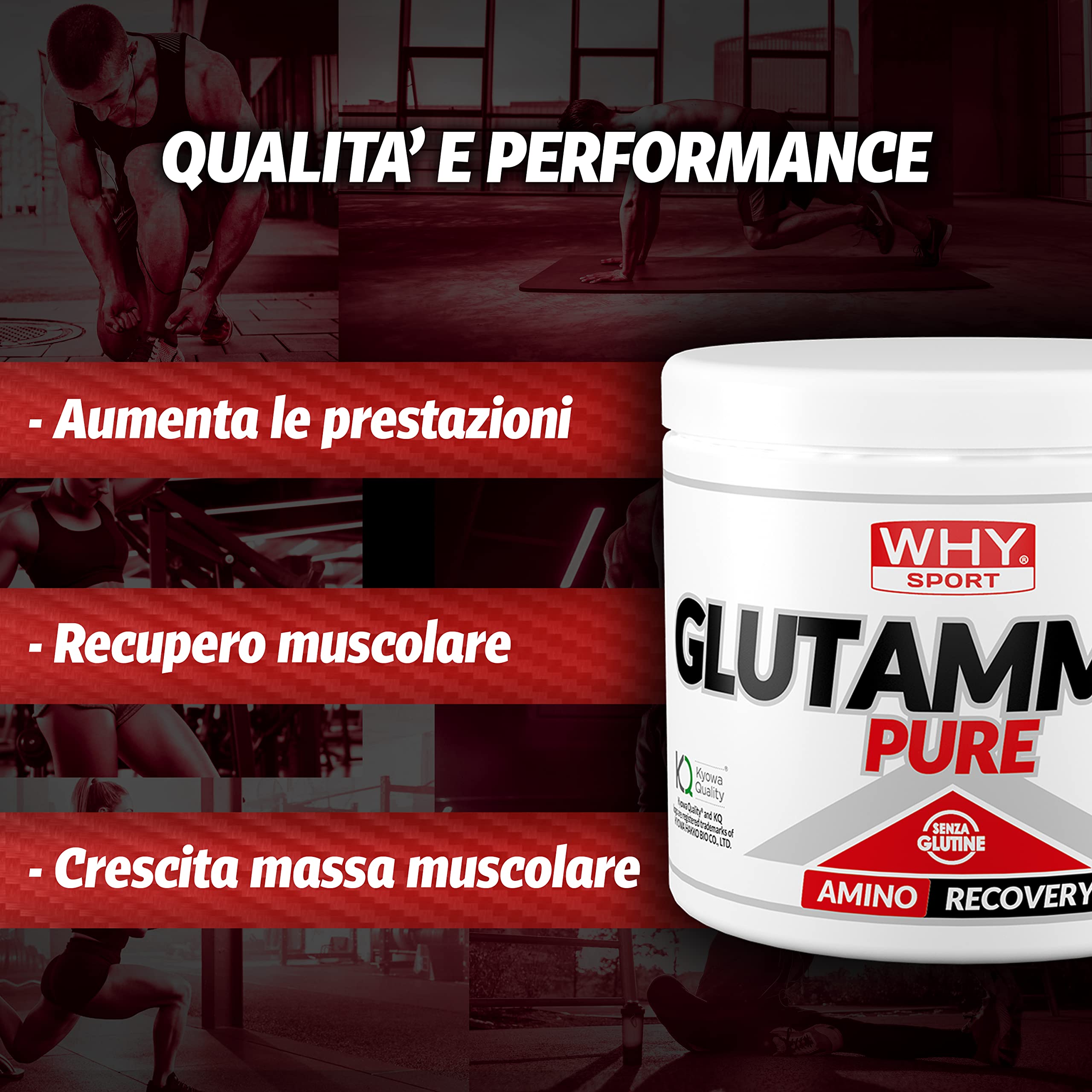 WHY SPORT GLUTAMMINA PURE - Aminoacidi - Integratore Alimentare a Base di L-Glutammina - 250 gr