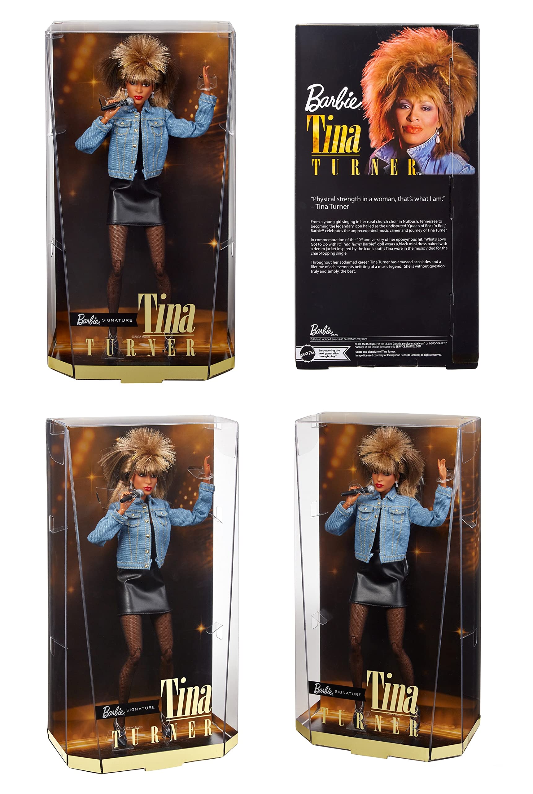BARBIE COLLECTOR BARBIE Signature Tina Turner HCB98 DOLL Mattel EUR 204,99 - FR
