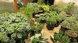 Review Image by Judy L. Judy L.