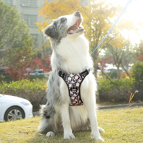 Miniatura 8 de Timos Arnés para perro sin tirones, sin necesidad de pasar por cabeza de perro, 3 hebillas a presión, arnés reflectante Oxford sin estrangulamiento,