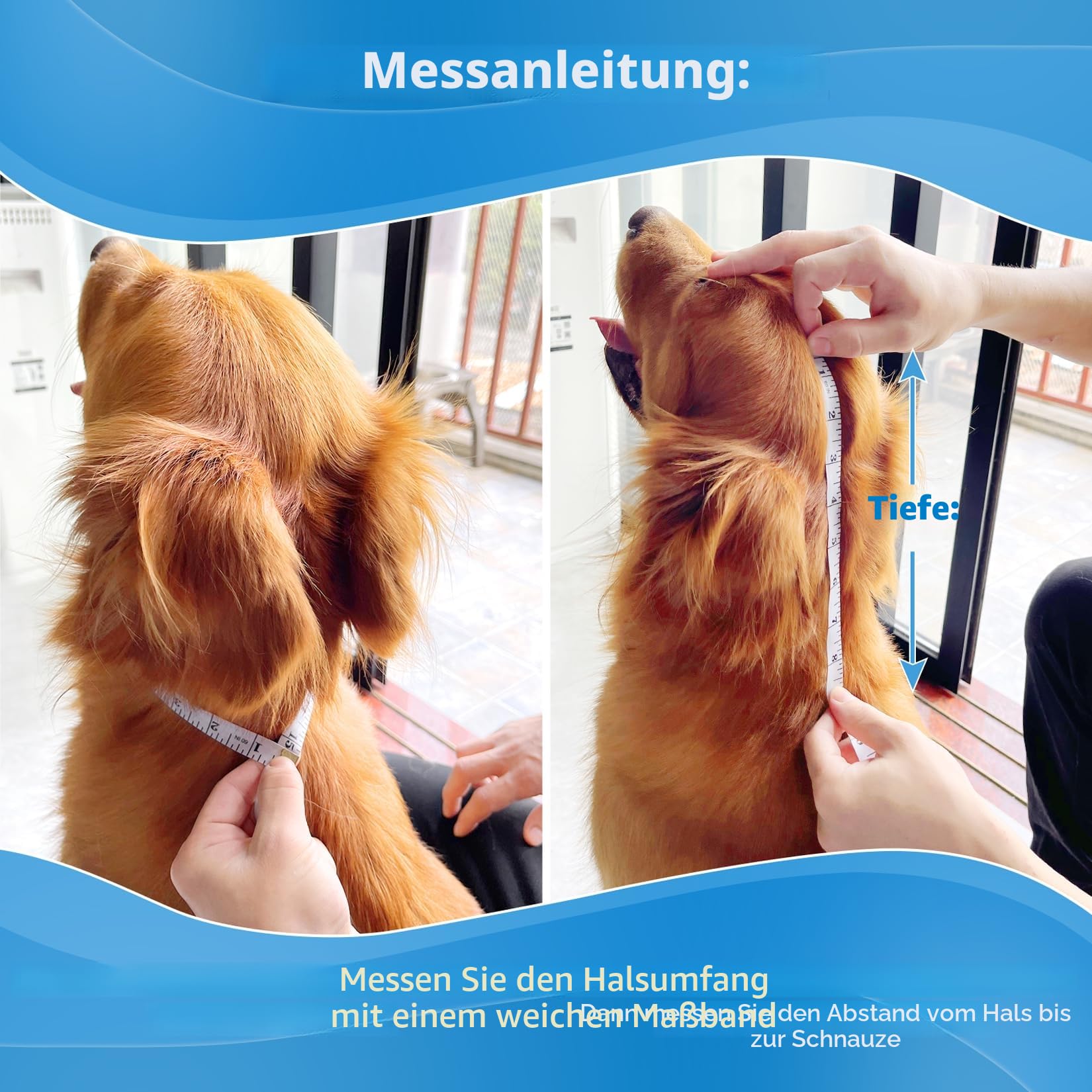 Halskrause Hund Weich, Hundekragen Leckschutz, Atmungsaktive Halskrausen für Hunde, Einstellbarer Schutzkragen Leckschutz Hund, Leicht Halskragen Hunde(Size 9, Blau)