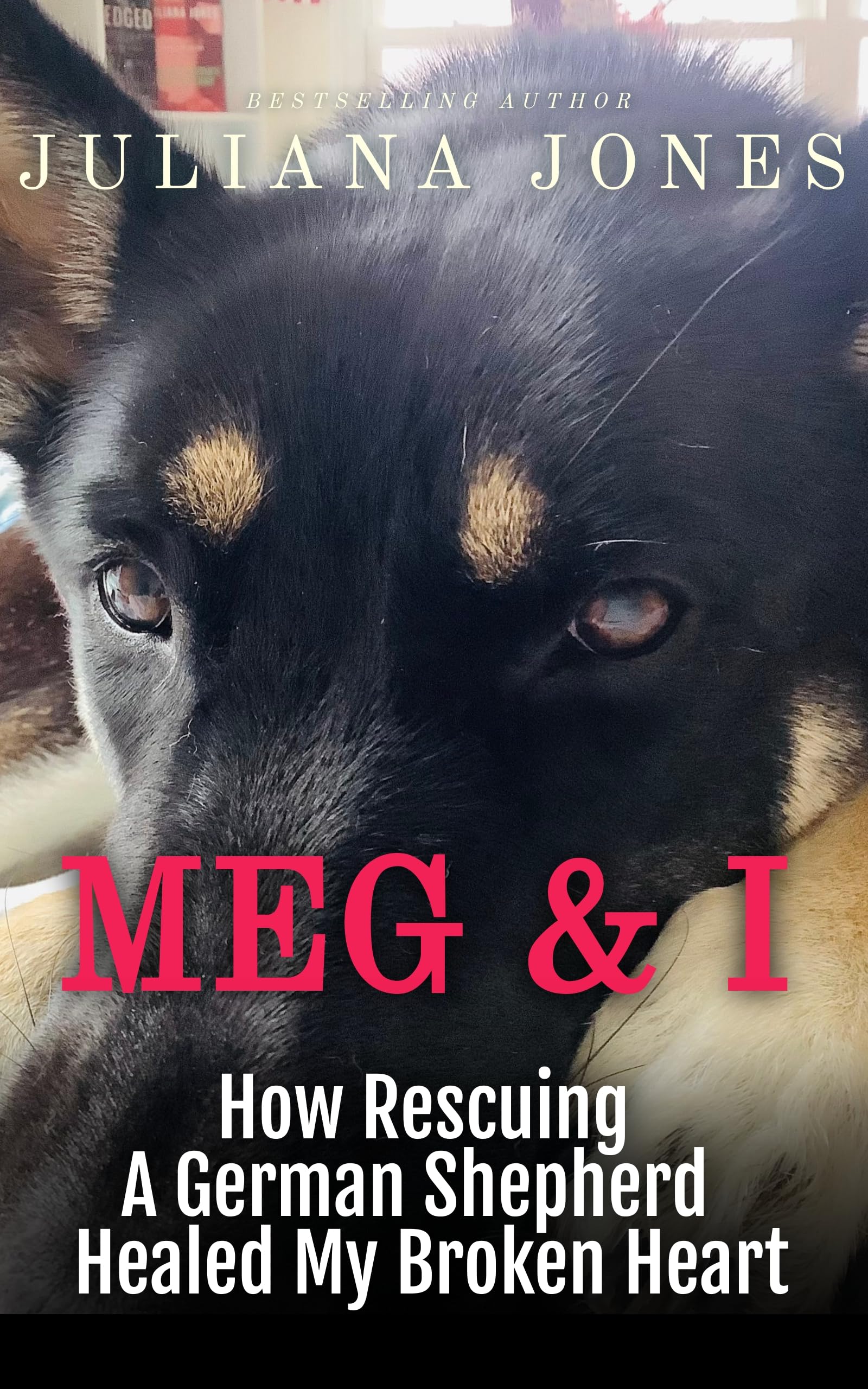 Meg & I; A Love Story: How Rescuing a German Shepherd Healed My Broken Heart