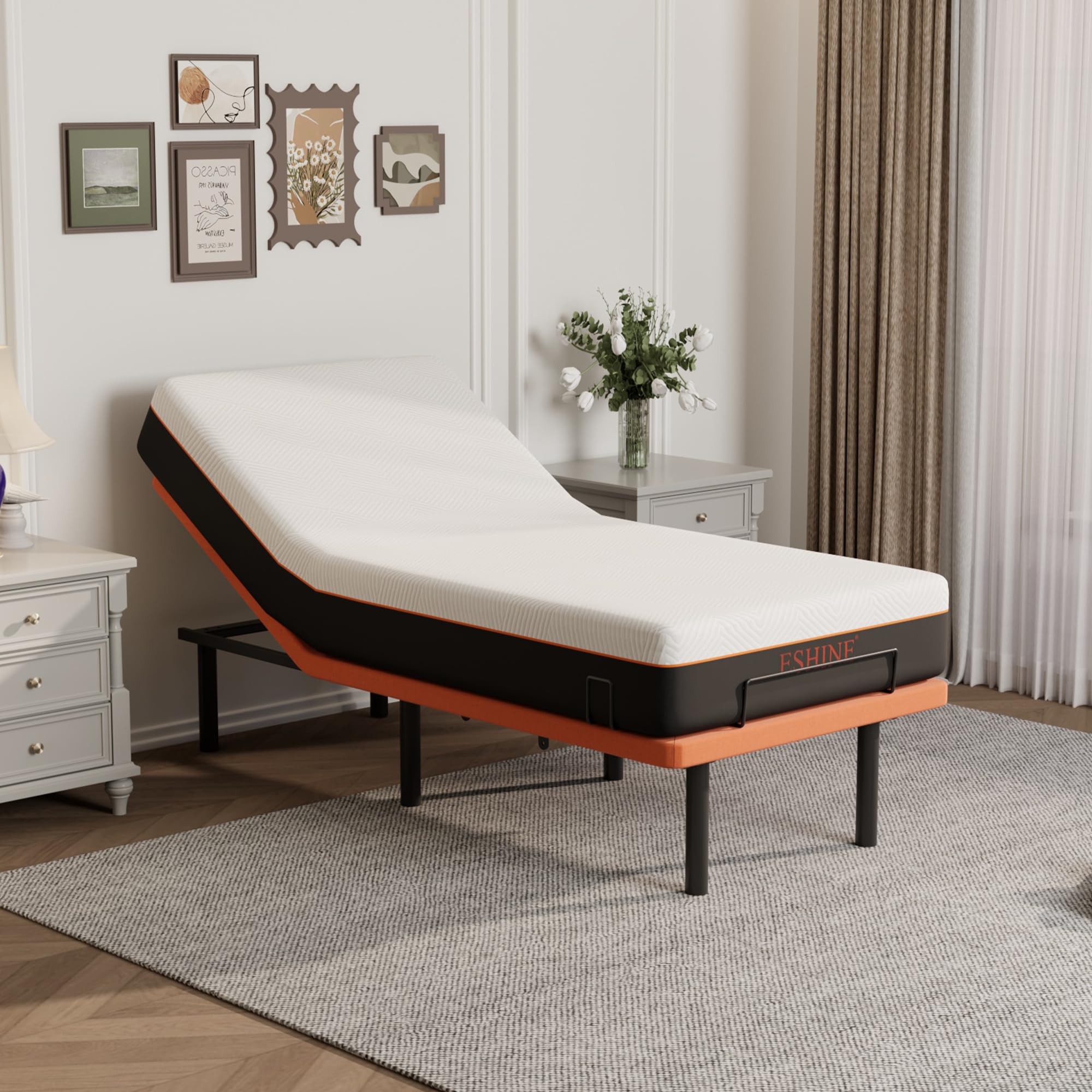 ESHINE Adjustable Bed Frame with 10 inch Mattress