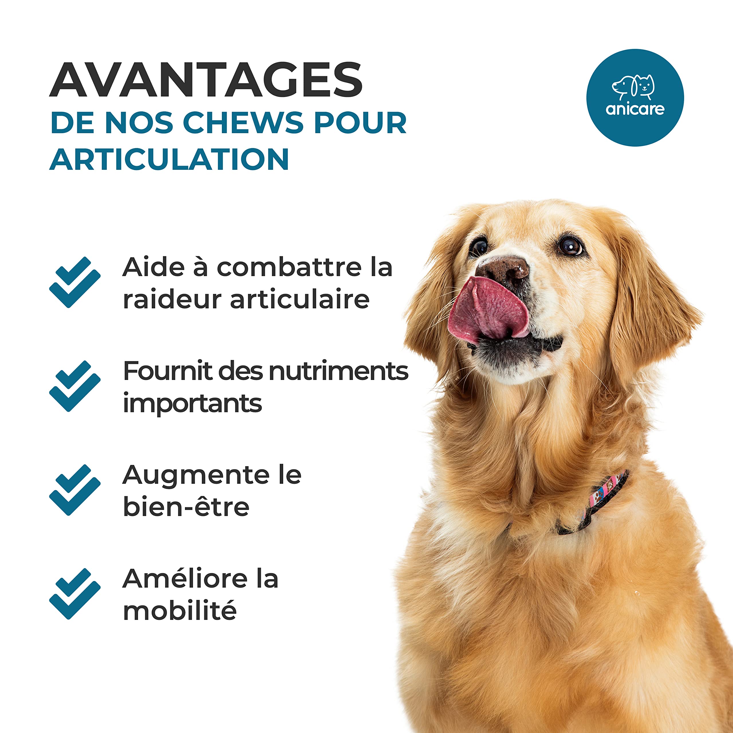 Anicare Premium Joint Care: Friandises à mâcher pour articulations! avec de la glucosamine, chondroïtine, du MSM et des moules aux orles Verts