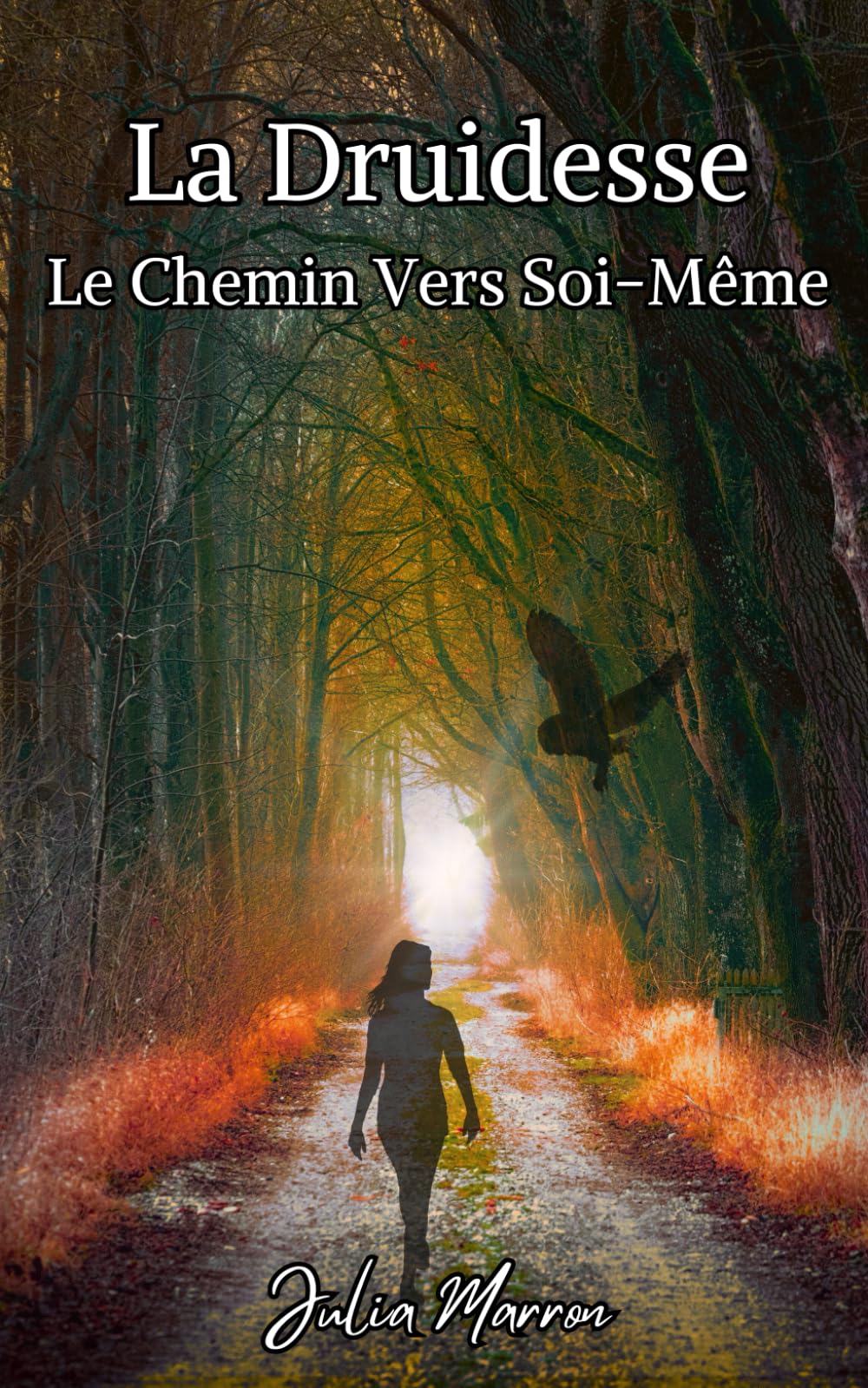 La Druidesse: Le Chemin Vers Soi-Même