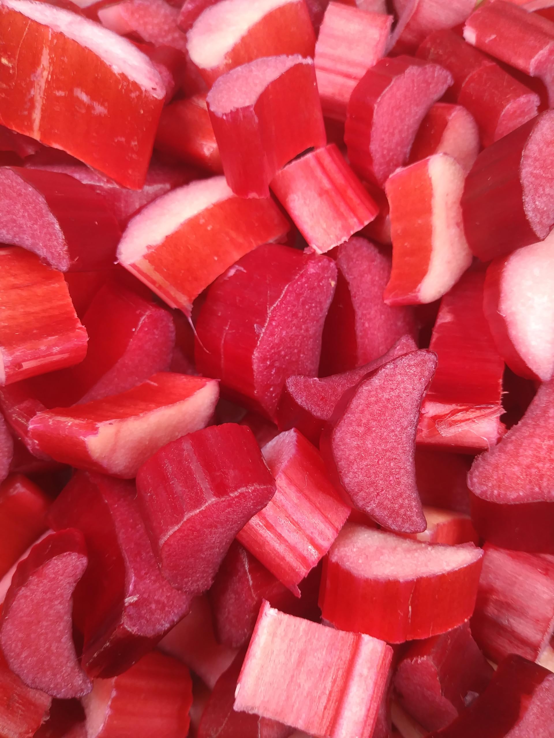 Ponthier RHABARBER ROT PÜREE Süß-Gemüse-Püree Rhabarbermark 1KG für Smoothie-Bowl-Sorbet-Eis-Grütze-Kuchen-Torte ausgewähltes Gemüse höchster Qualität ohne Zusätze (4, 1kg)