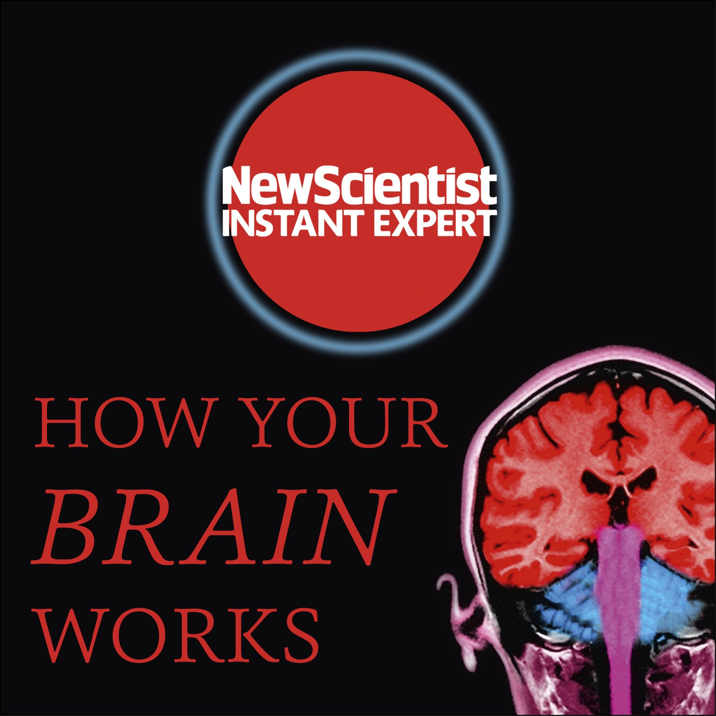 Cover art for How Your Brain Works