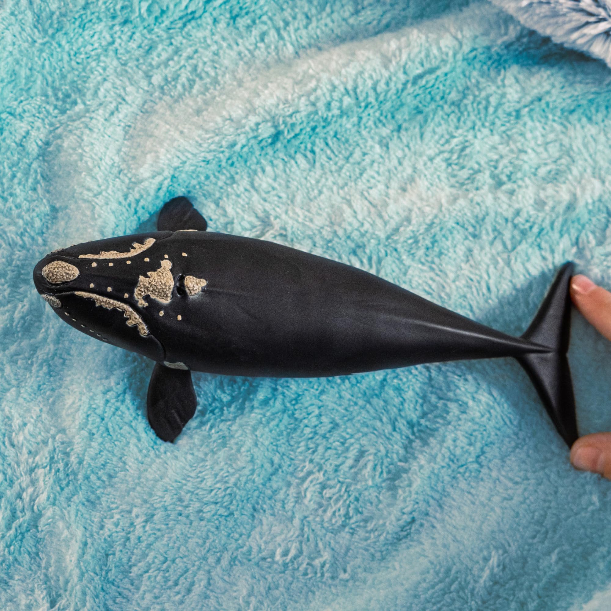 Amazon.co.jp: シュライヒ schleich ワイルドライフ タイセイヨウ