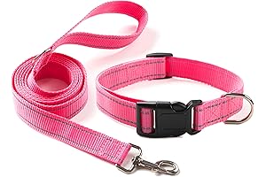 Adorable Pink Collar and Leash Set for Pampered Pooches