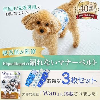 ゆう様オーダーページ♥マナーベルト 5点 ゆう様オーダーページ♥マナーベルト 5点 楽天市場】[Hakusan