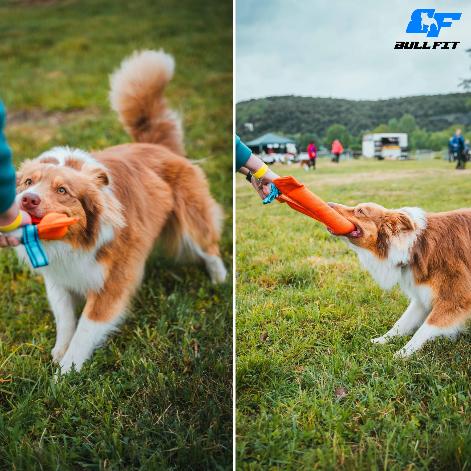 Bull Fit Manicotto per Cani a Ferro di Cavallo 30 cm, Salsicciotto Molto Robusto per I'addestramento dei Cani, per il Tiro alla Fune e per i Giochi di Tiro alla Fune, Verde