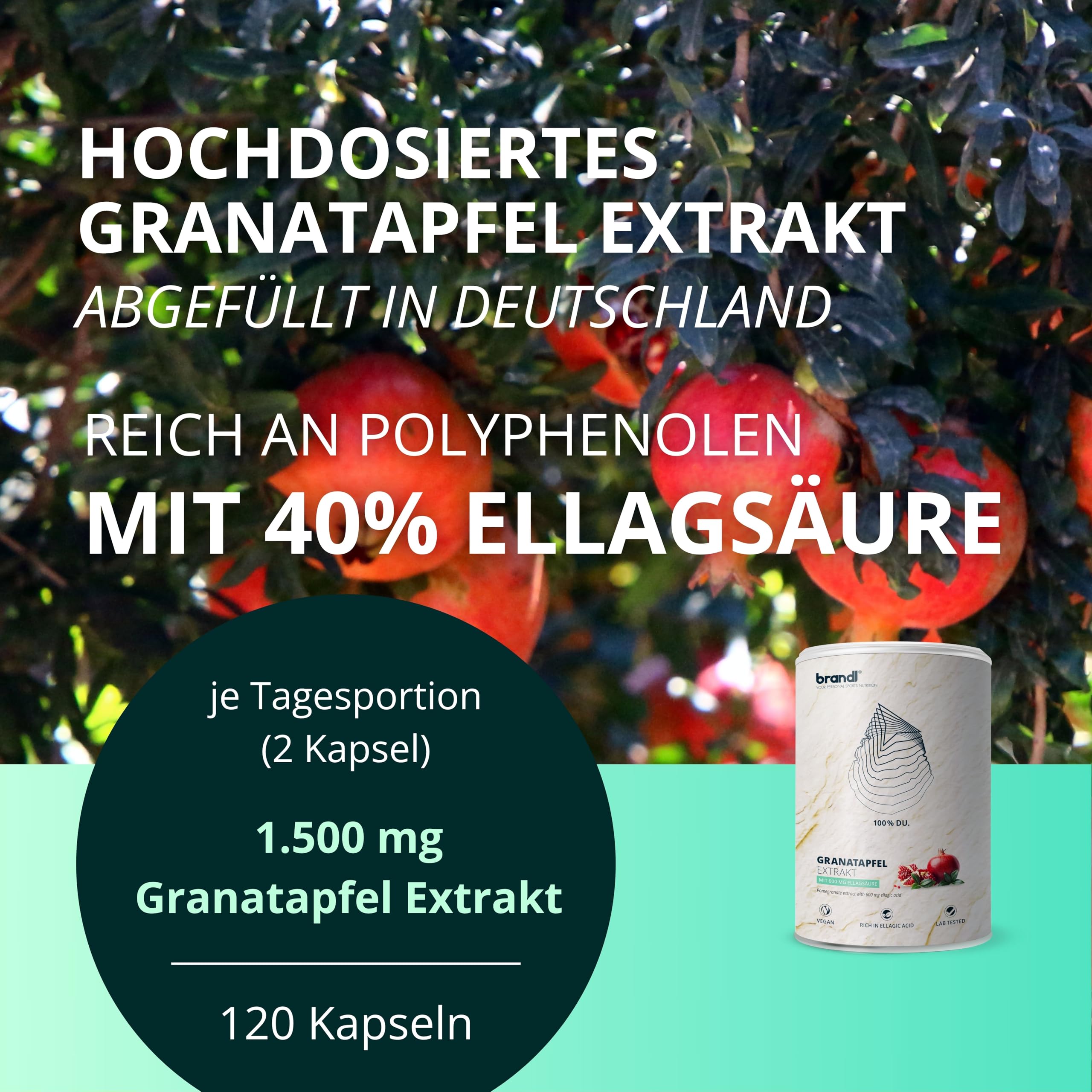 Granatapfel Kapseln hochdosiert | 1.500 mg Premium Granatapfel-Extrakt pro Portion mit 40% mg Ellagsäure | 120 Kapseln 2-Monats-Vorrat by brandl®