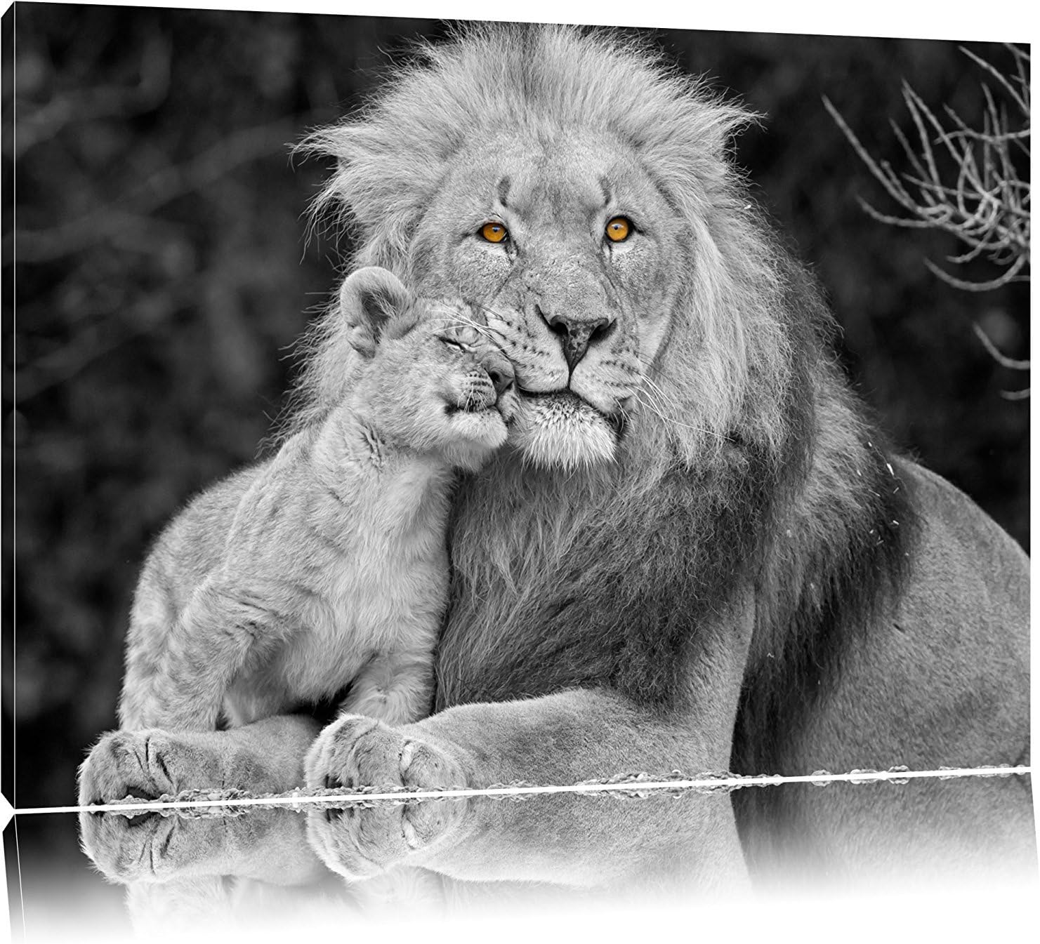 Fprqlyze Beautiful Lion with Cub Black/White On Canvas,Canvas Prints Wall Art for Home DéCor, 16"X12"(40x30cm)
